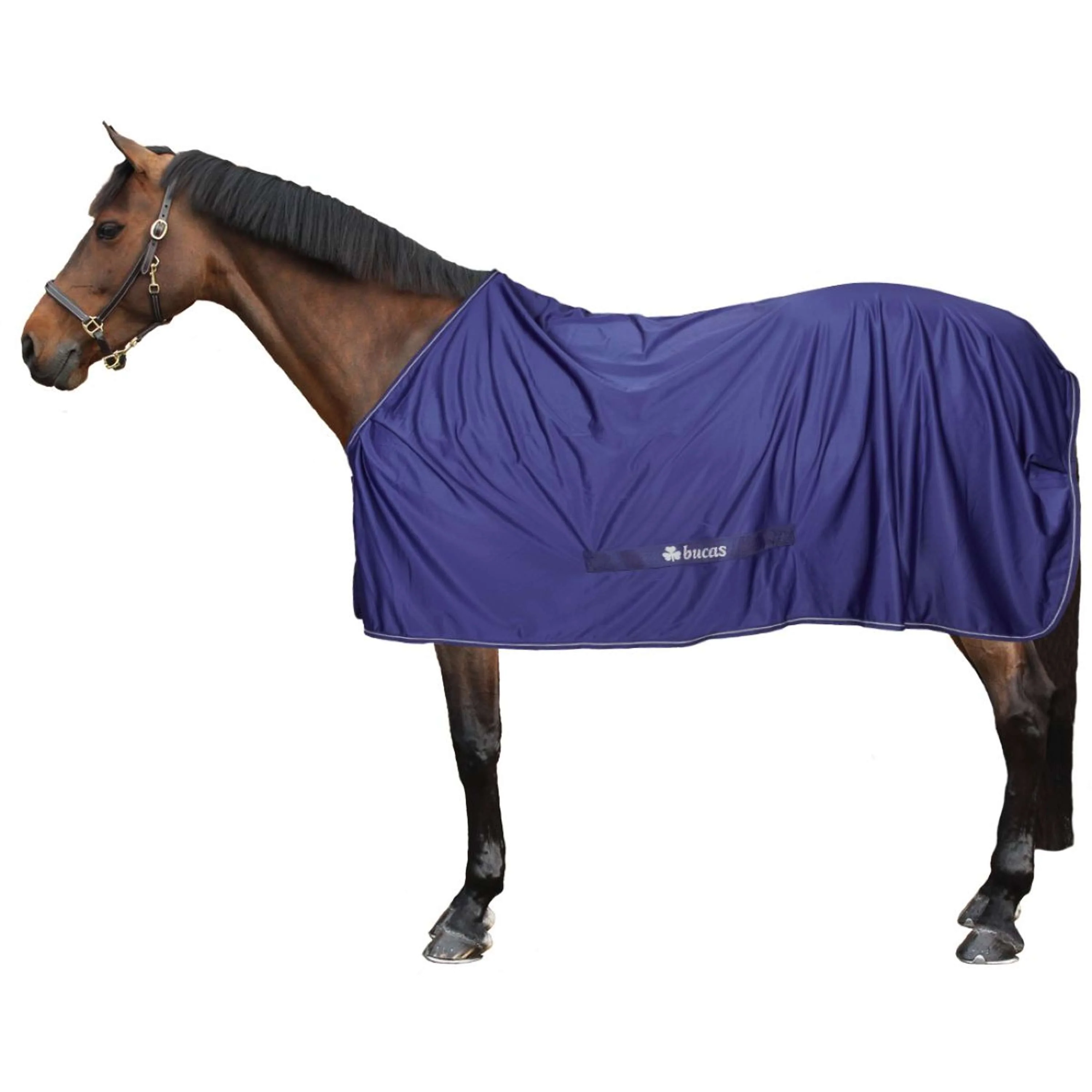 Bucas Power Cooler Marin/Argente - Image 3
