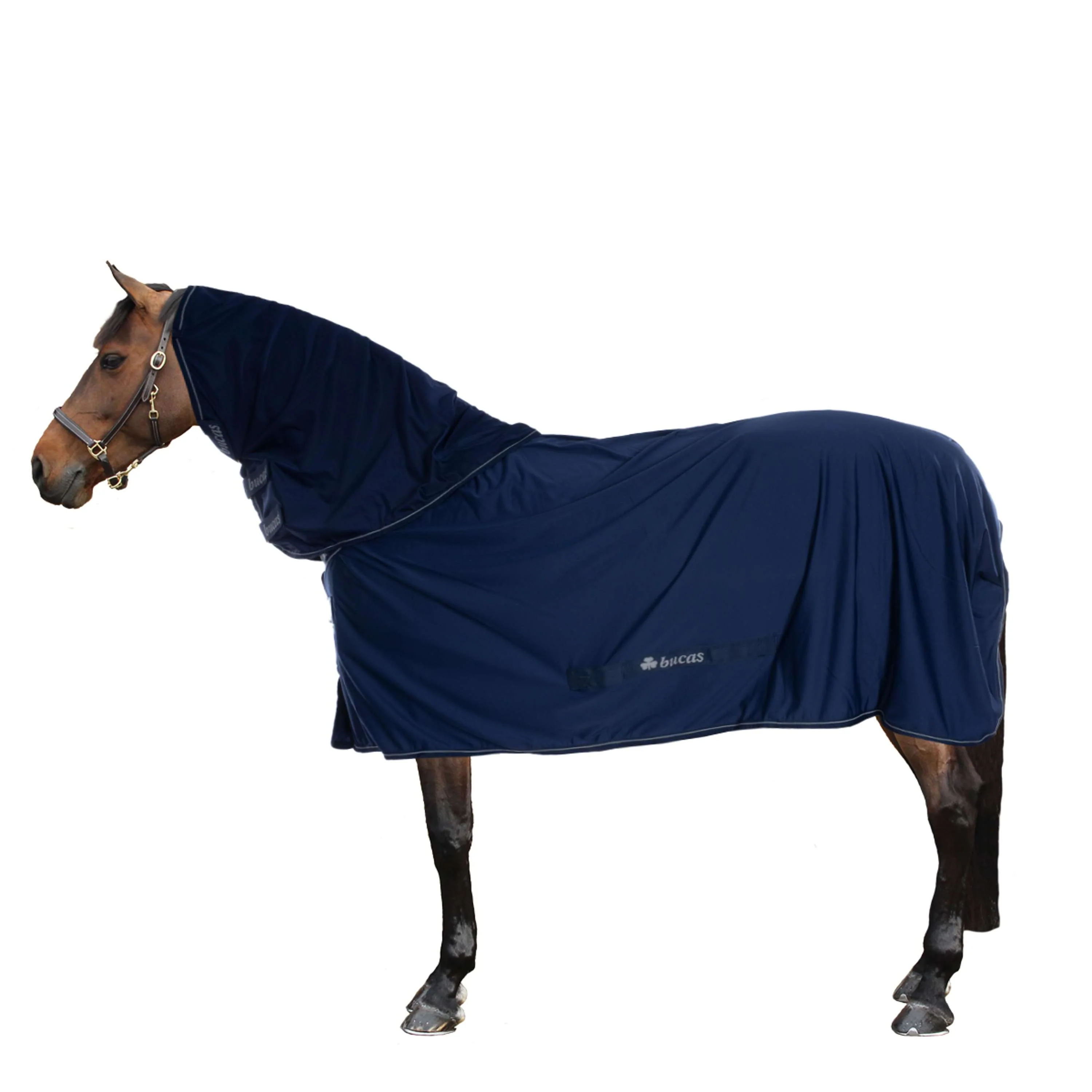 Bucas Power Cooler & Neck Marin/Argente - Image 2