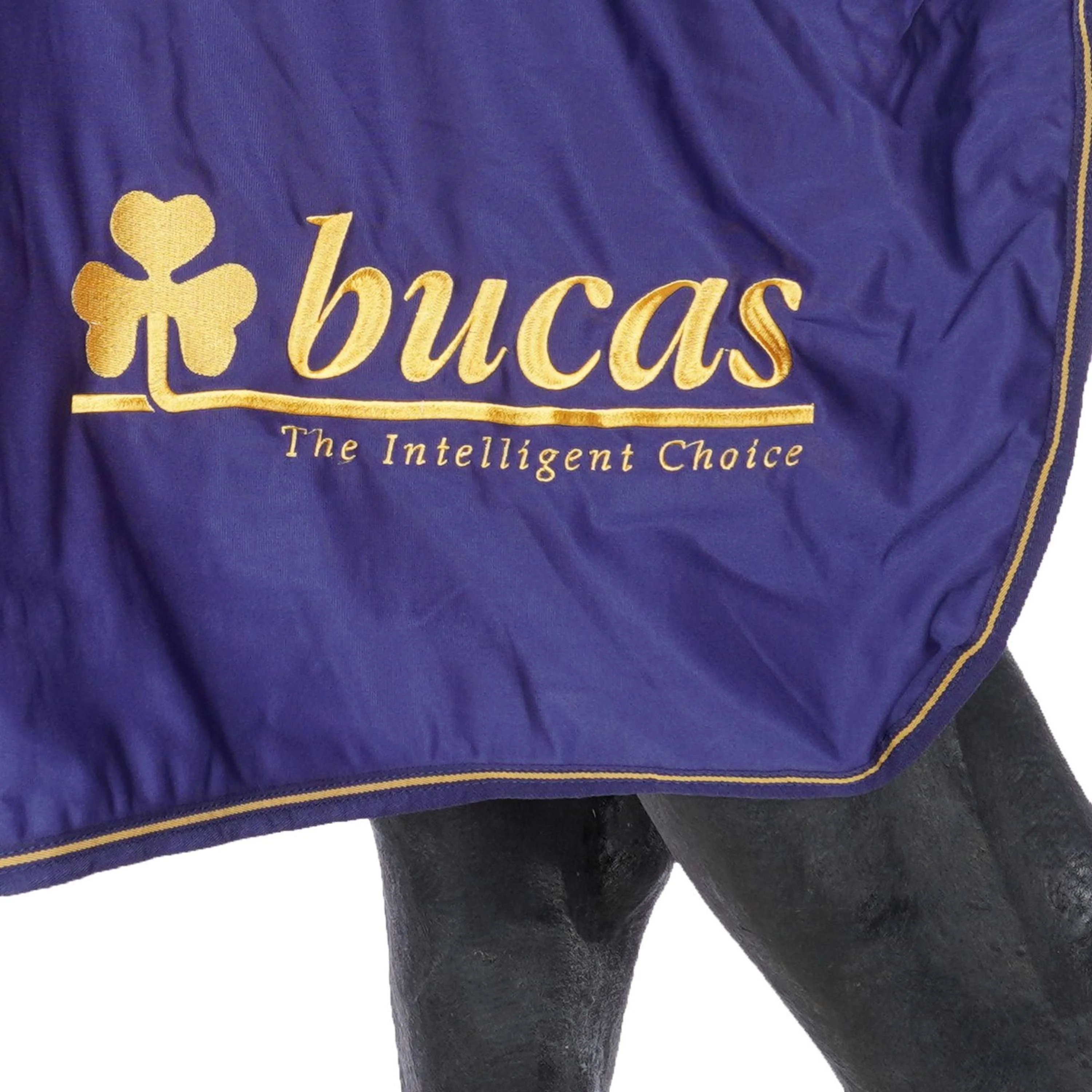 Bucas Prize Cooler Marine/gold Bucas logo - Image 7