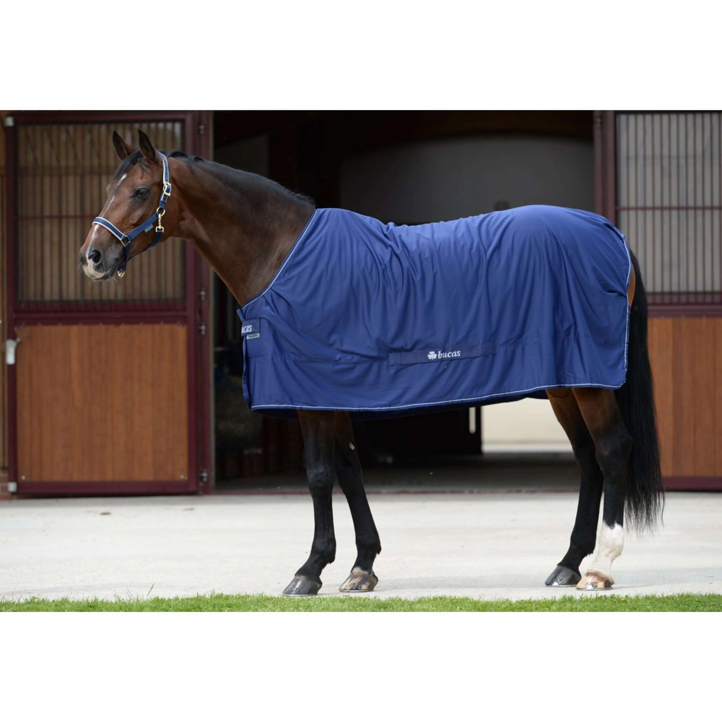 Bucas Shamrock Power Marin/Argente - Image 2