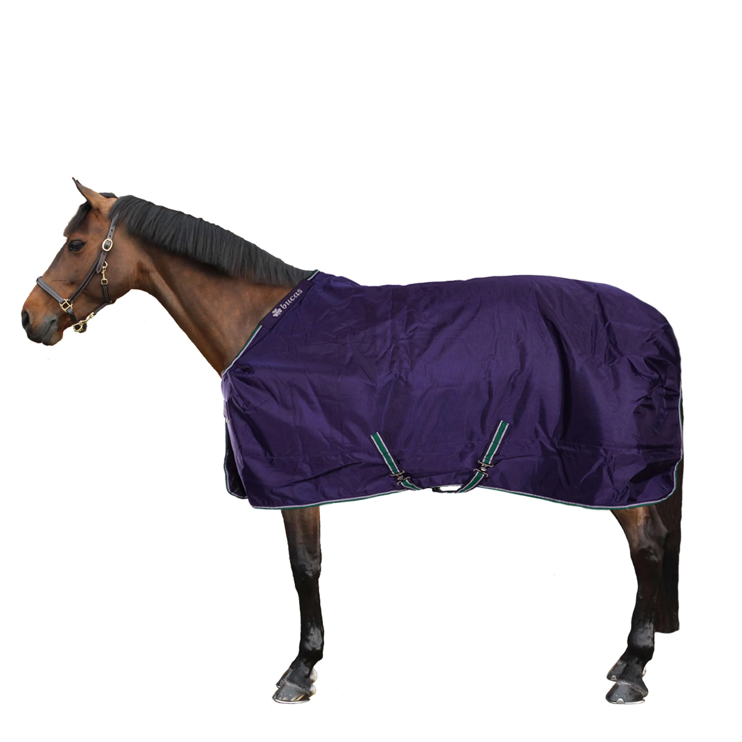 Bucas Smartex Extra Big Neck 300g Bleu - Image 2
