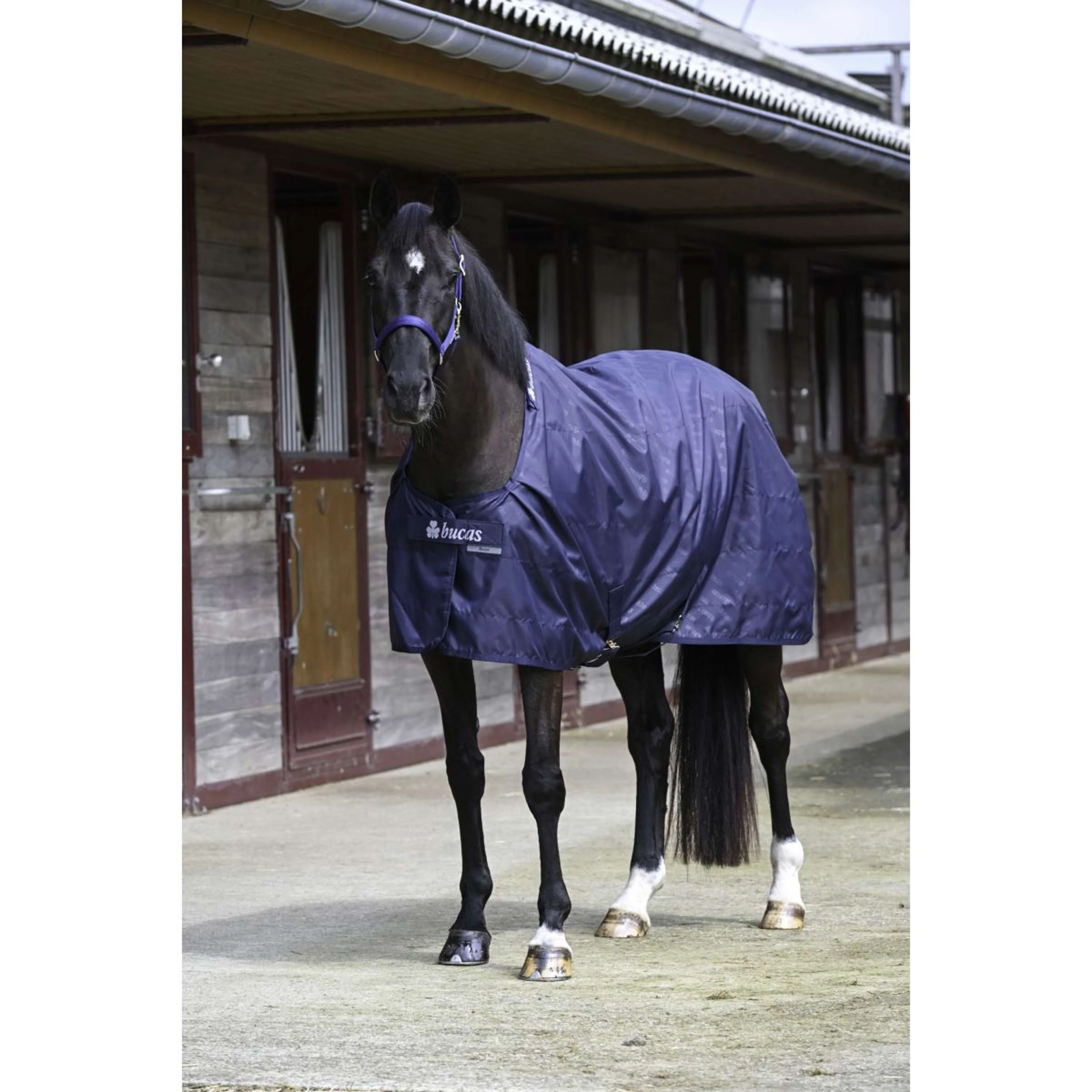 Bucas Stable Sheet 0g Marine/Marine - Image 2