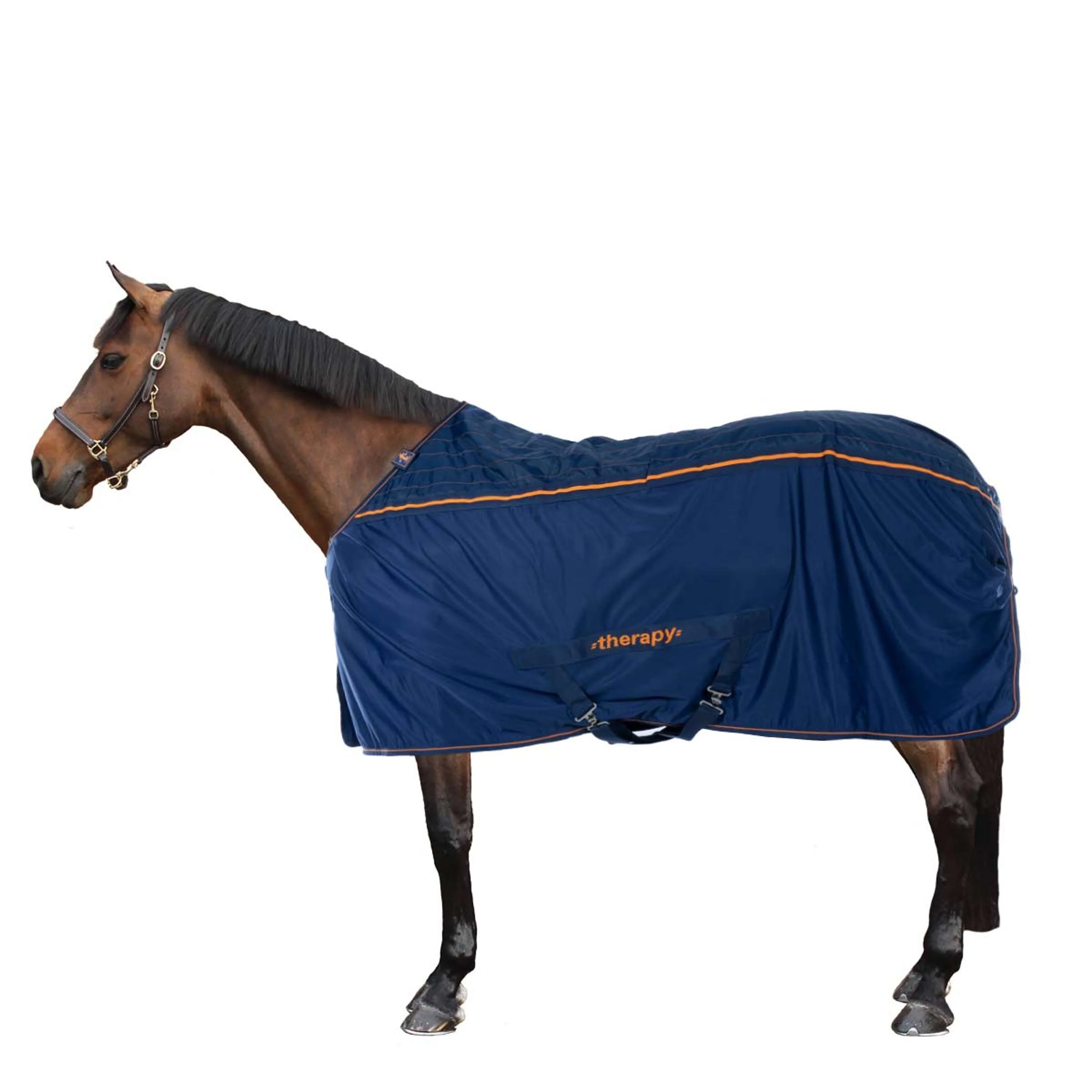 Bucas Therapy Cooler Bleu Marine/Orange - Image 3
