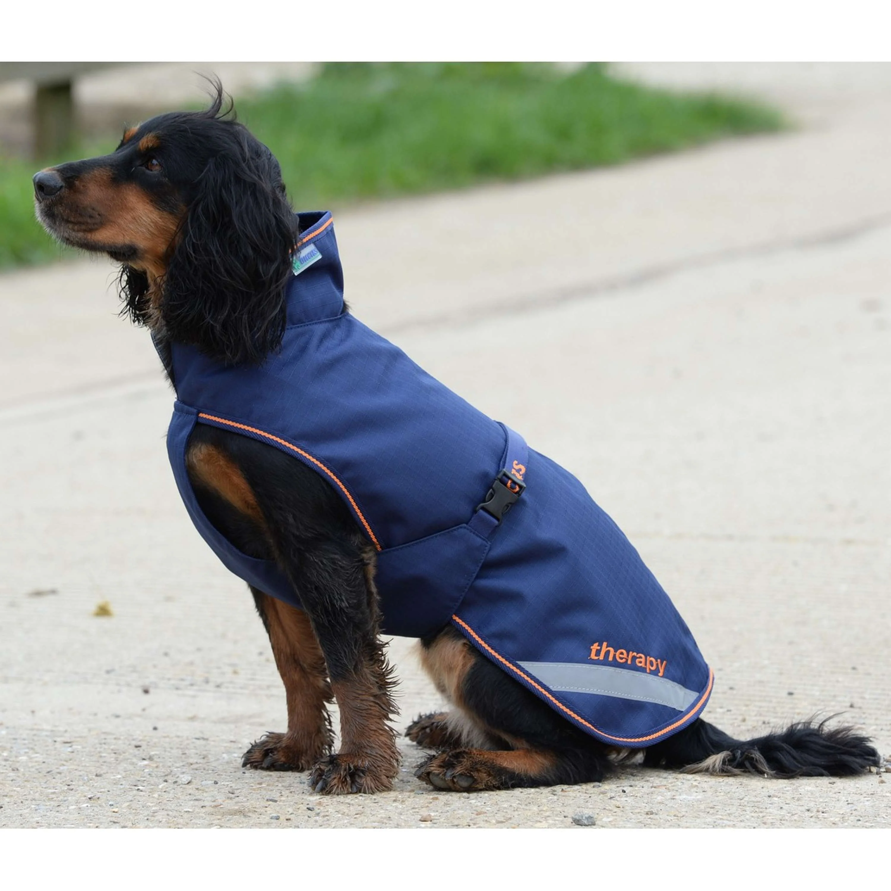 Bucas Therapy Dog Rug 150g Bleu Marine/Orange - Image 3
