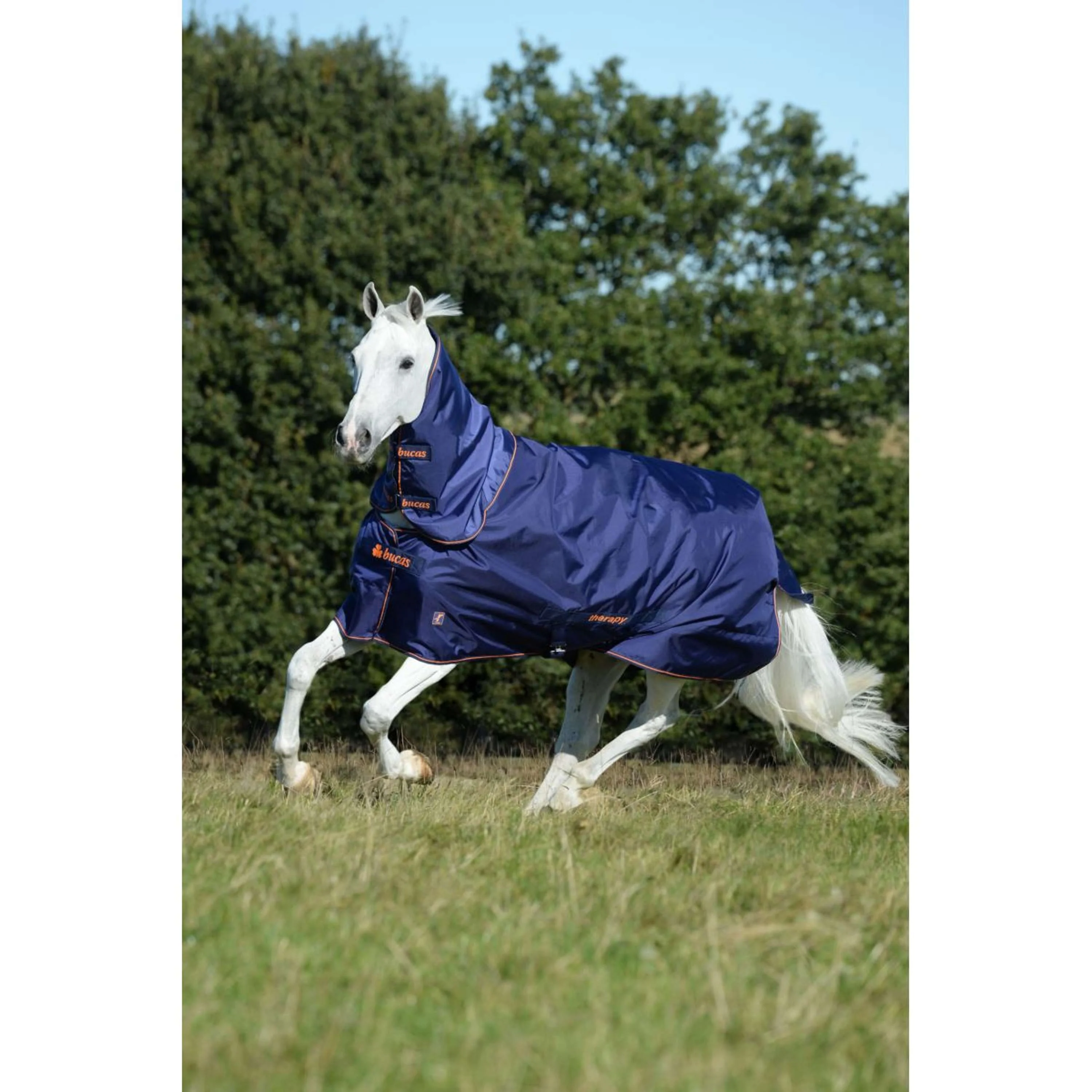 Bucas Therapy Turnout Neck Bleu Marine/Orange - Image 2