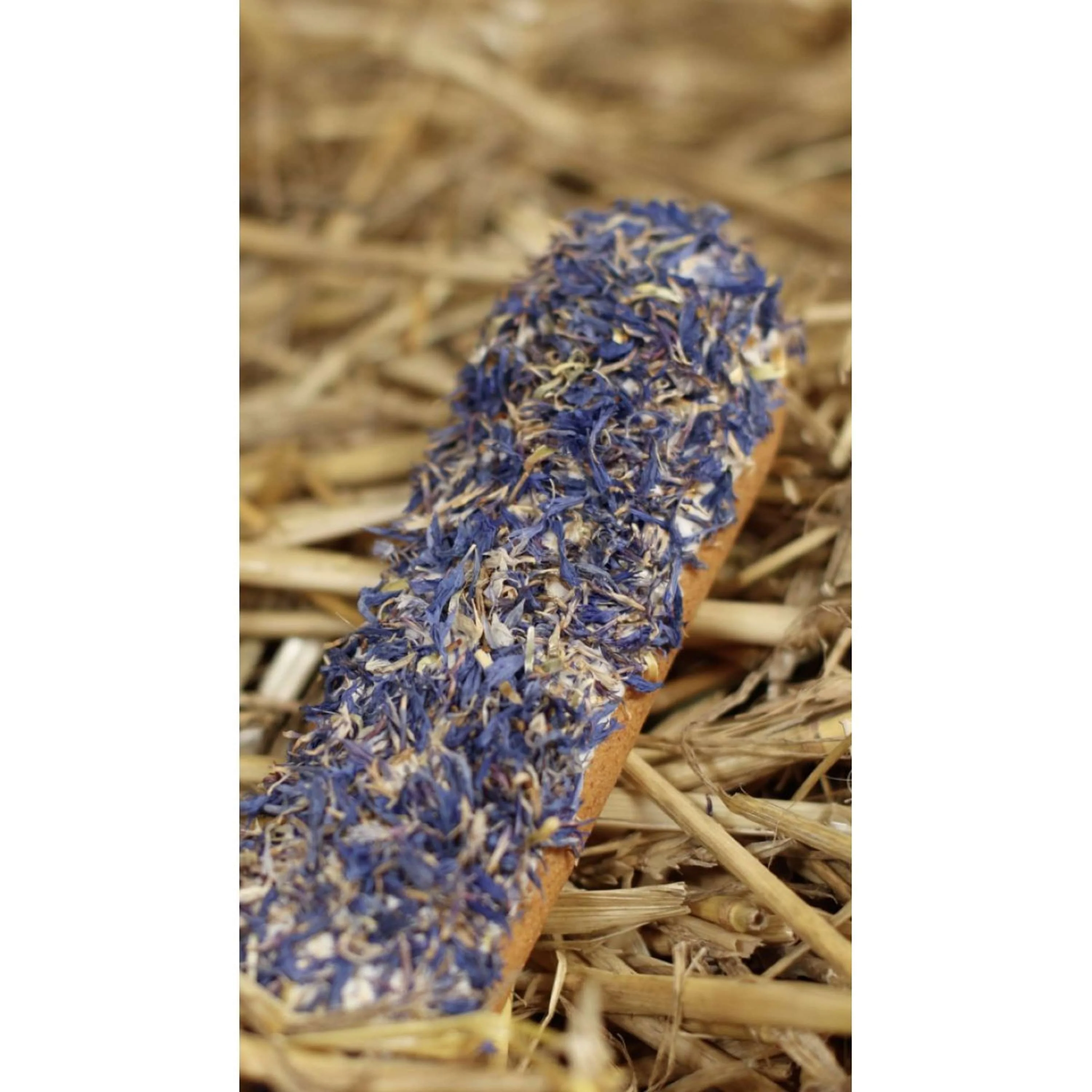 Candy Horse Cookies Cornflower Eclair - Image 2