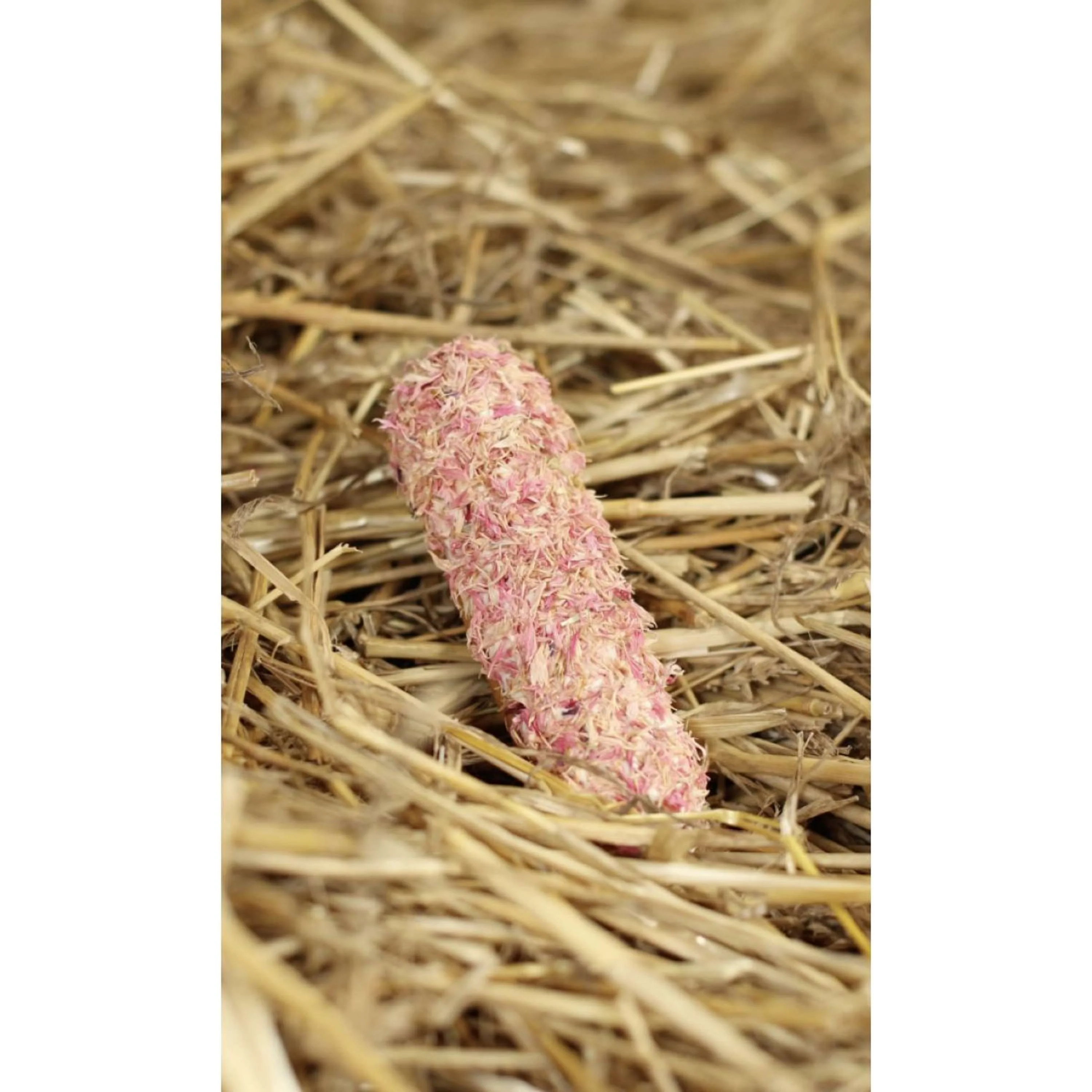Candy Horse Cookies Pink Cornflower Èclair - Image 2