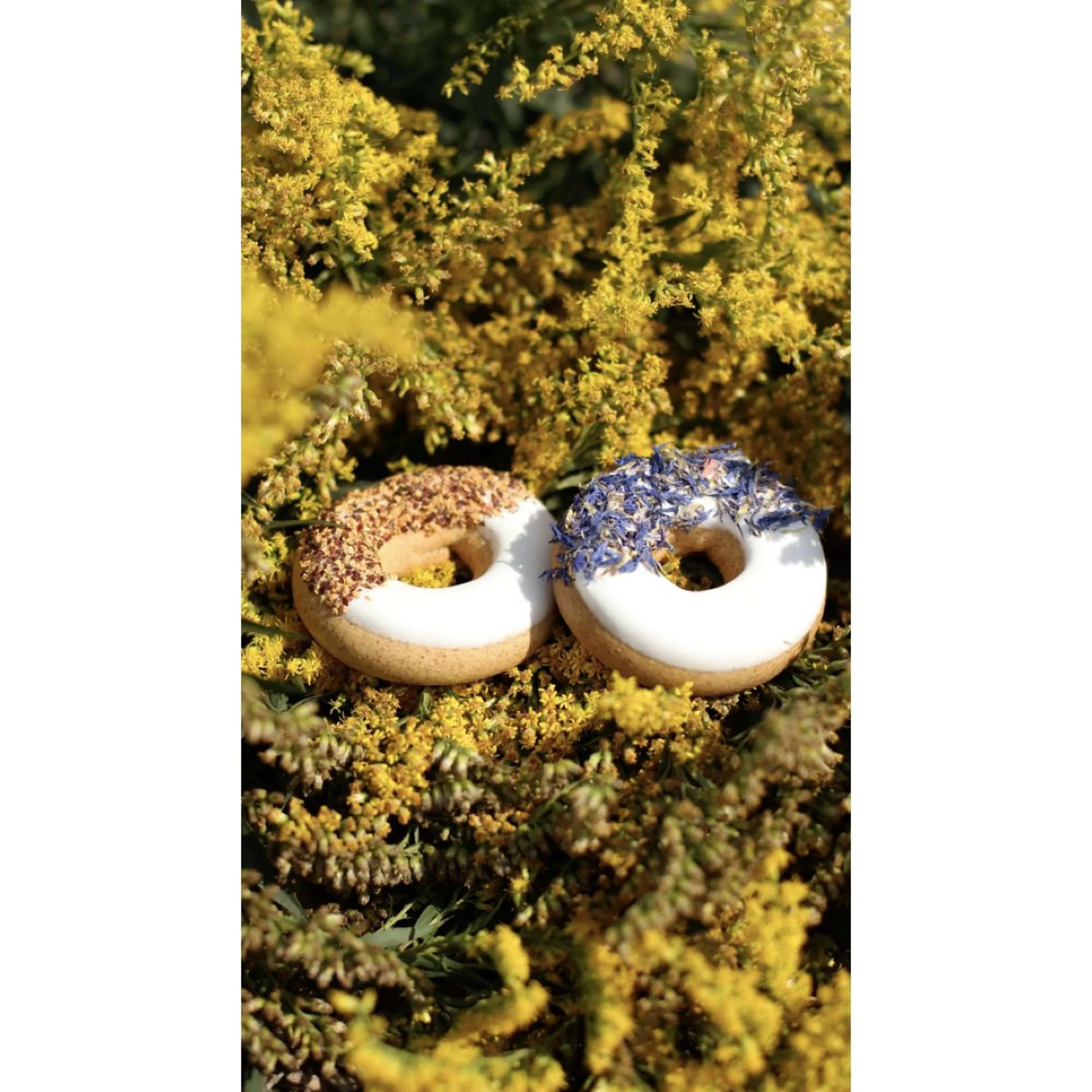 Candy Horse Donut Cornflower/Rosehip - Image 2