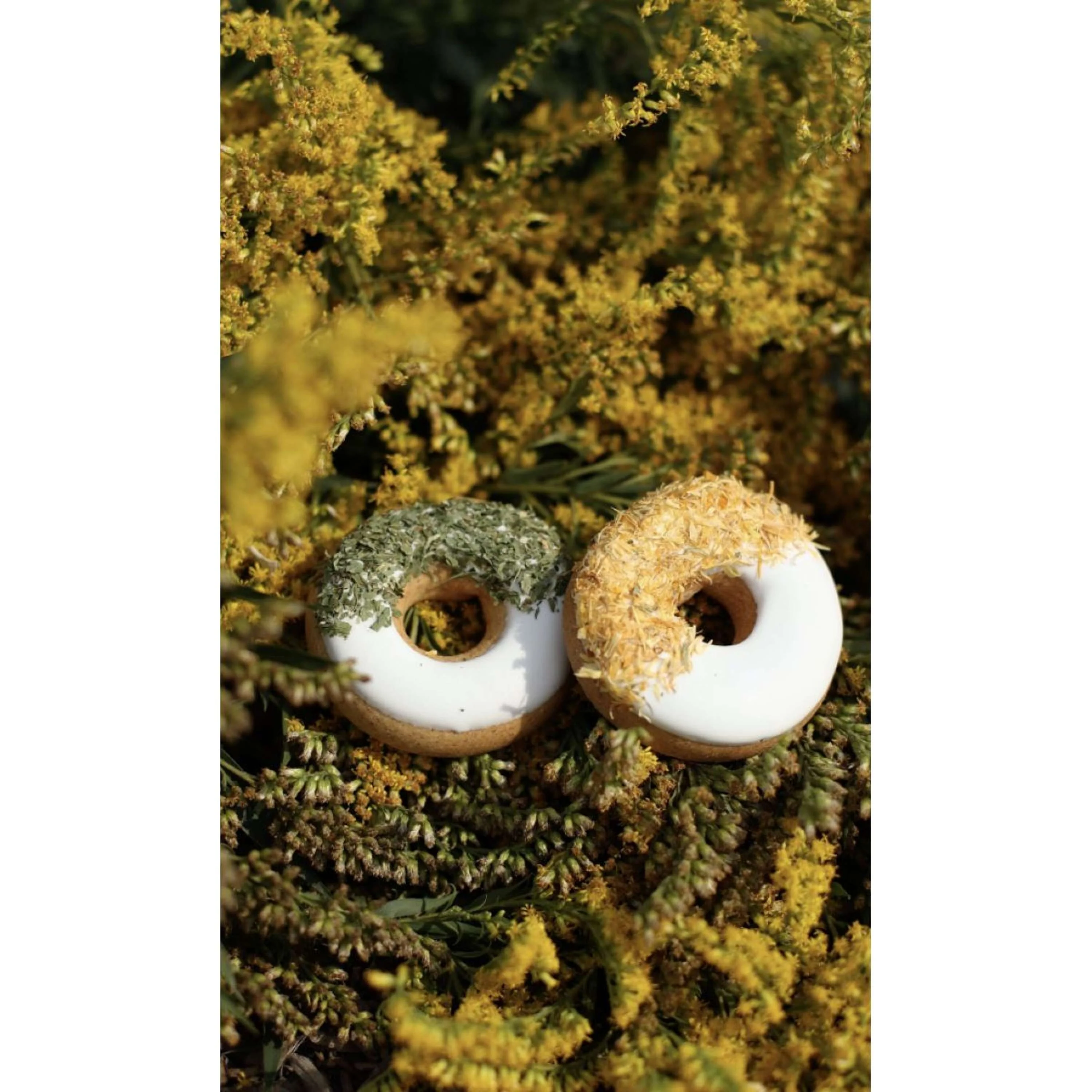 Candy Horse Donut Parsley/Calendula - Image 2