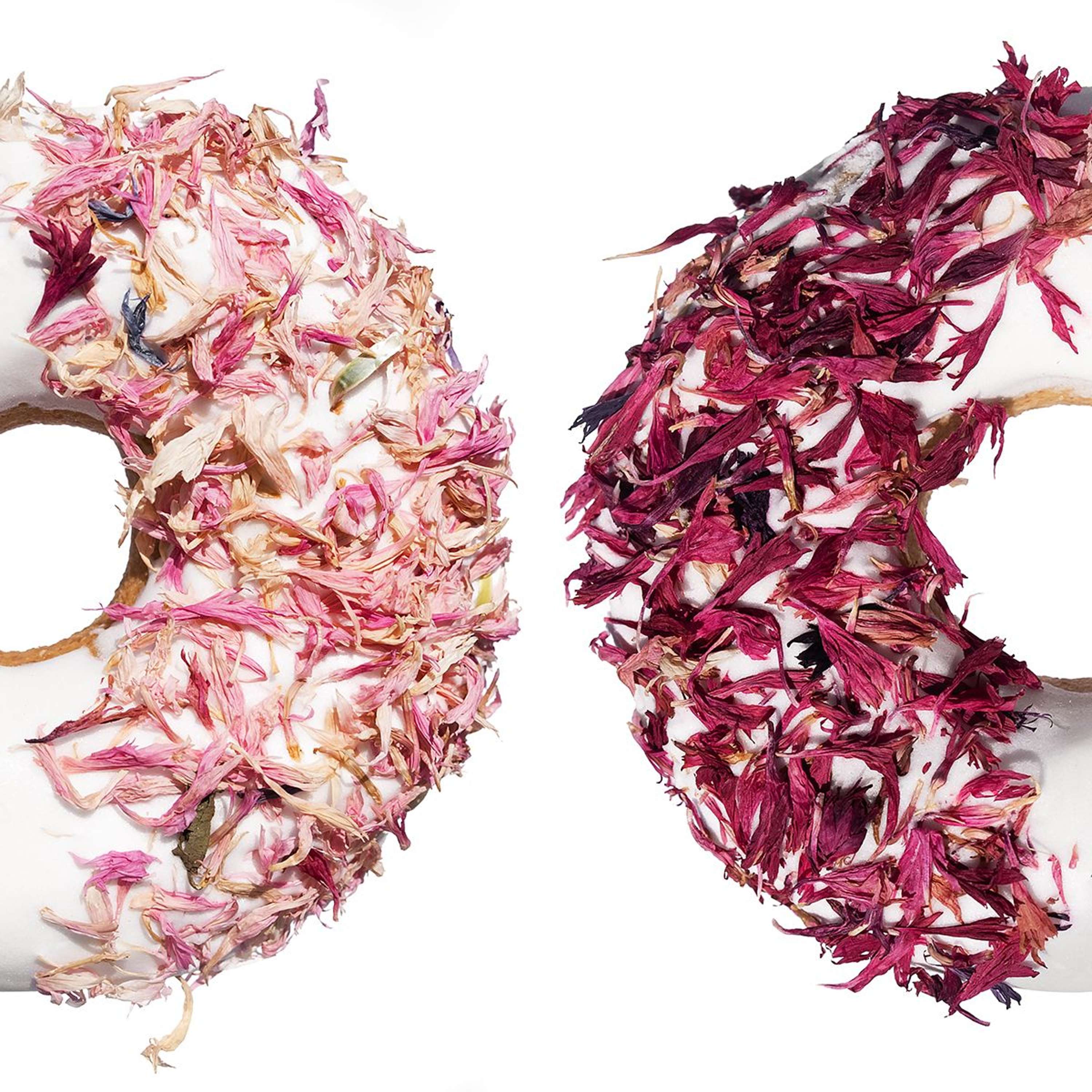 Candy Horse Donut Pink Cornflower - Image 4