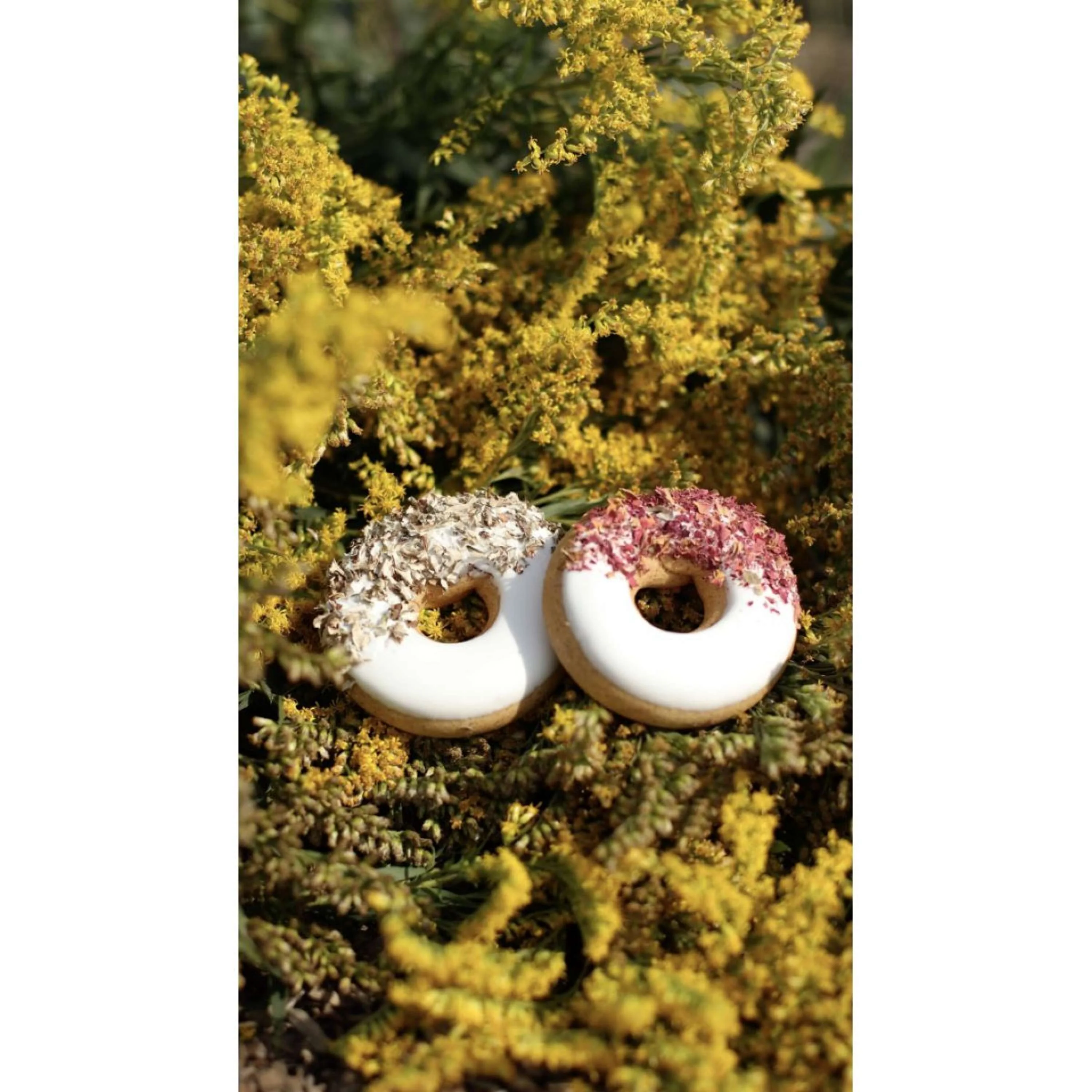 Candy Horse Donut Rose petals/Iceland moss - Image 2