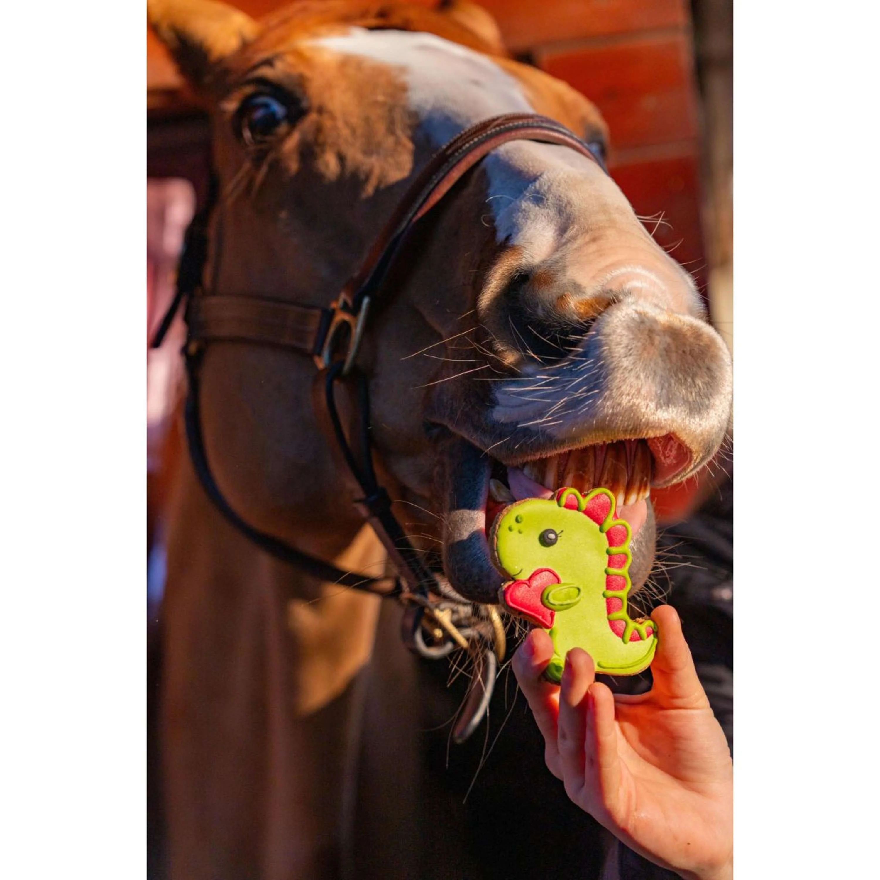 Candy Horse Love Cookie Dino - Image 2