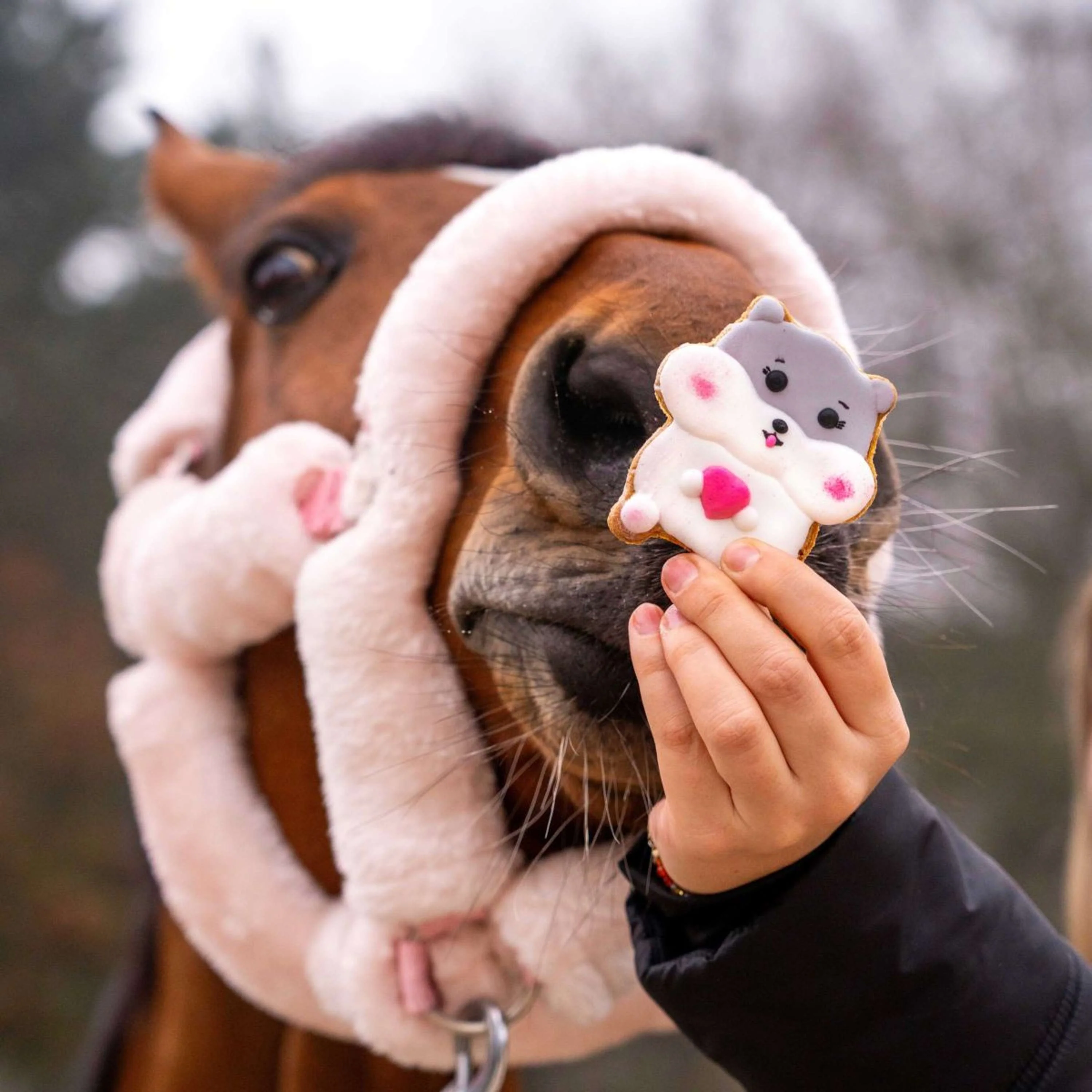Candy Horse Love Cookie Hamster - Image 2