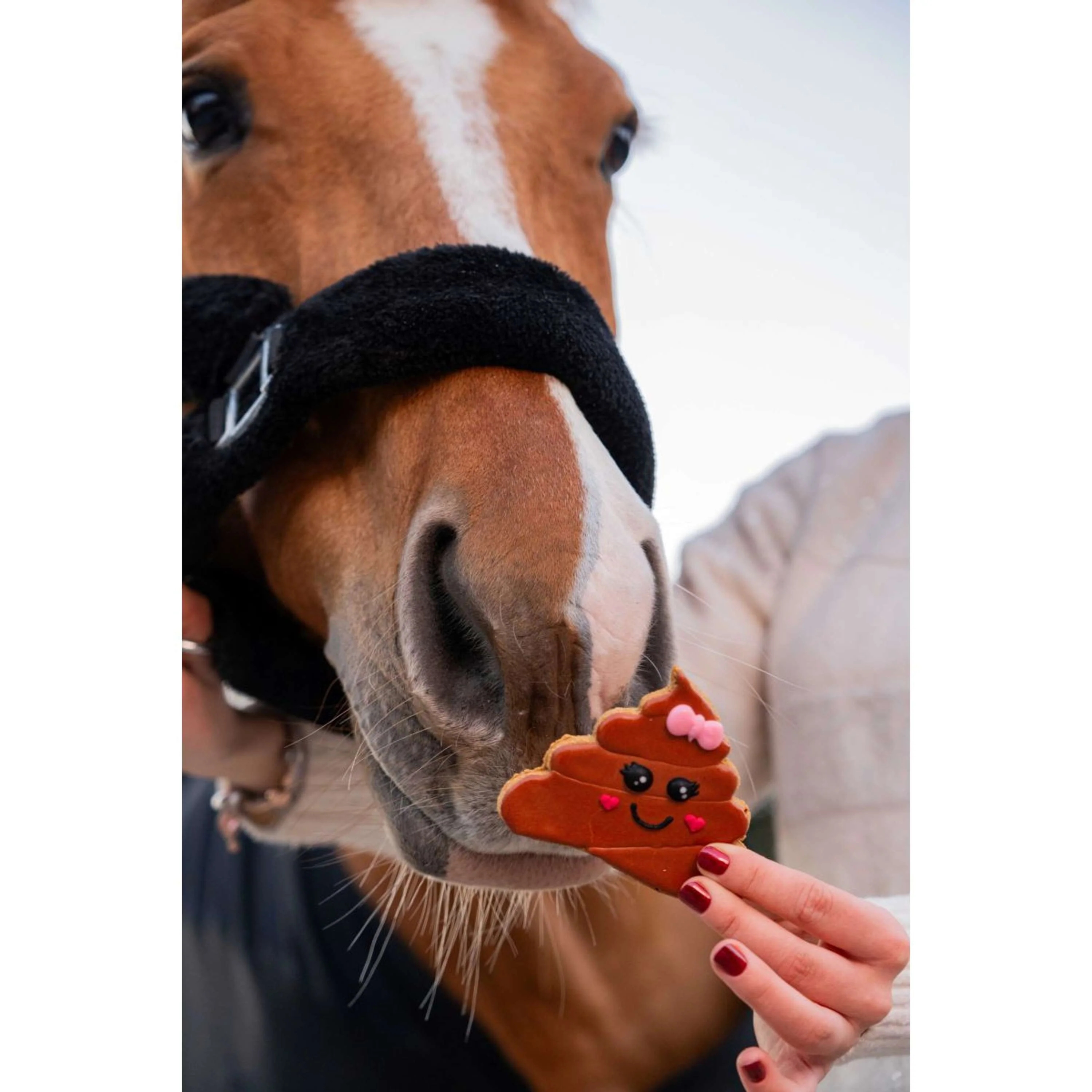 Candy Horse Love Cookie Poop - Image 2