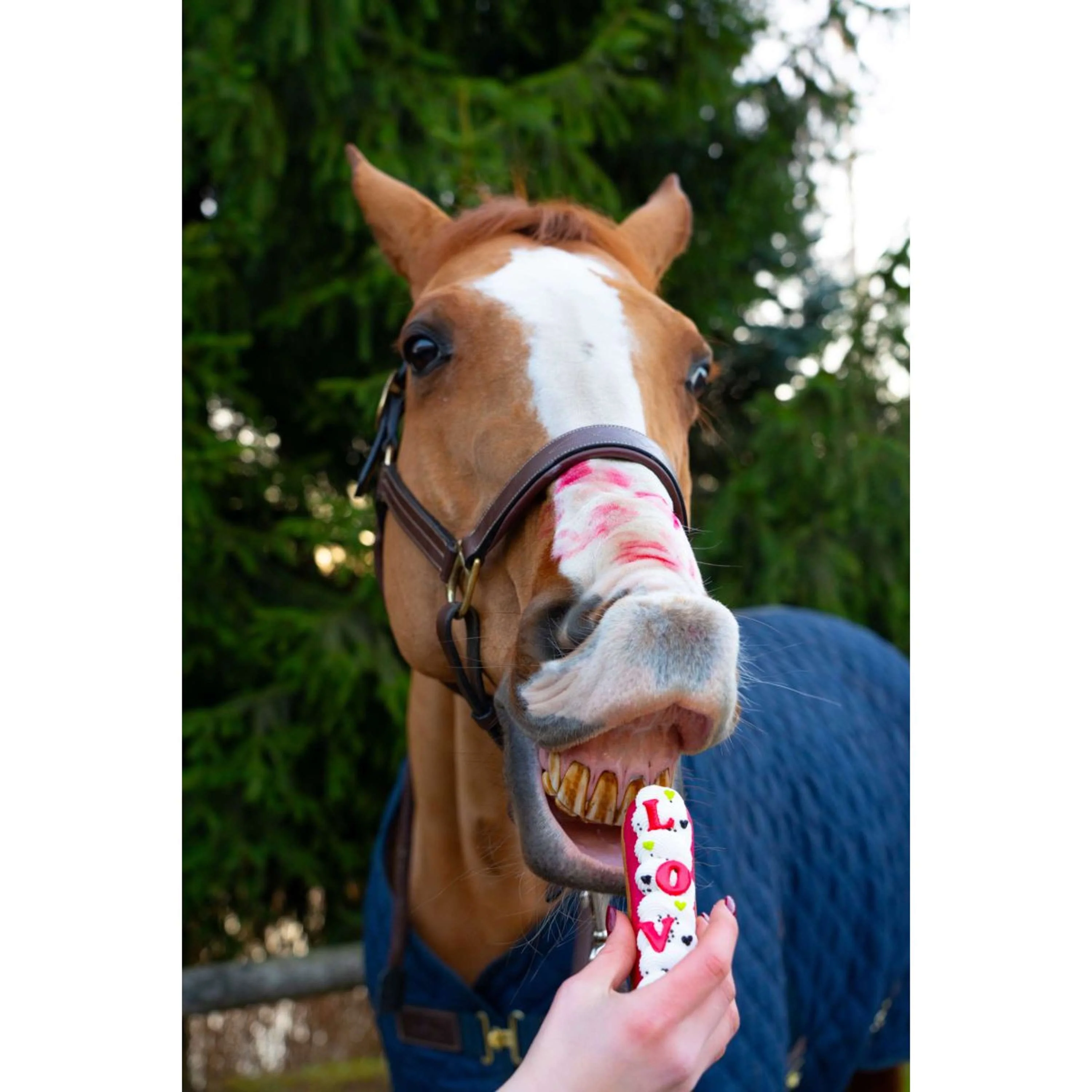 Candy Horse Love Cookies Eclair Icing - Image 2