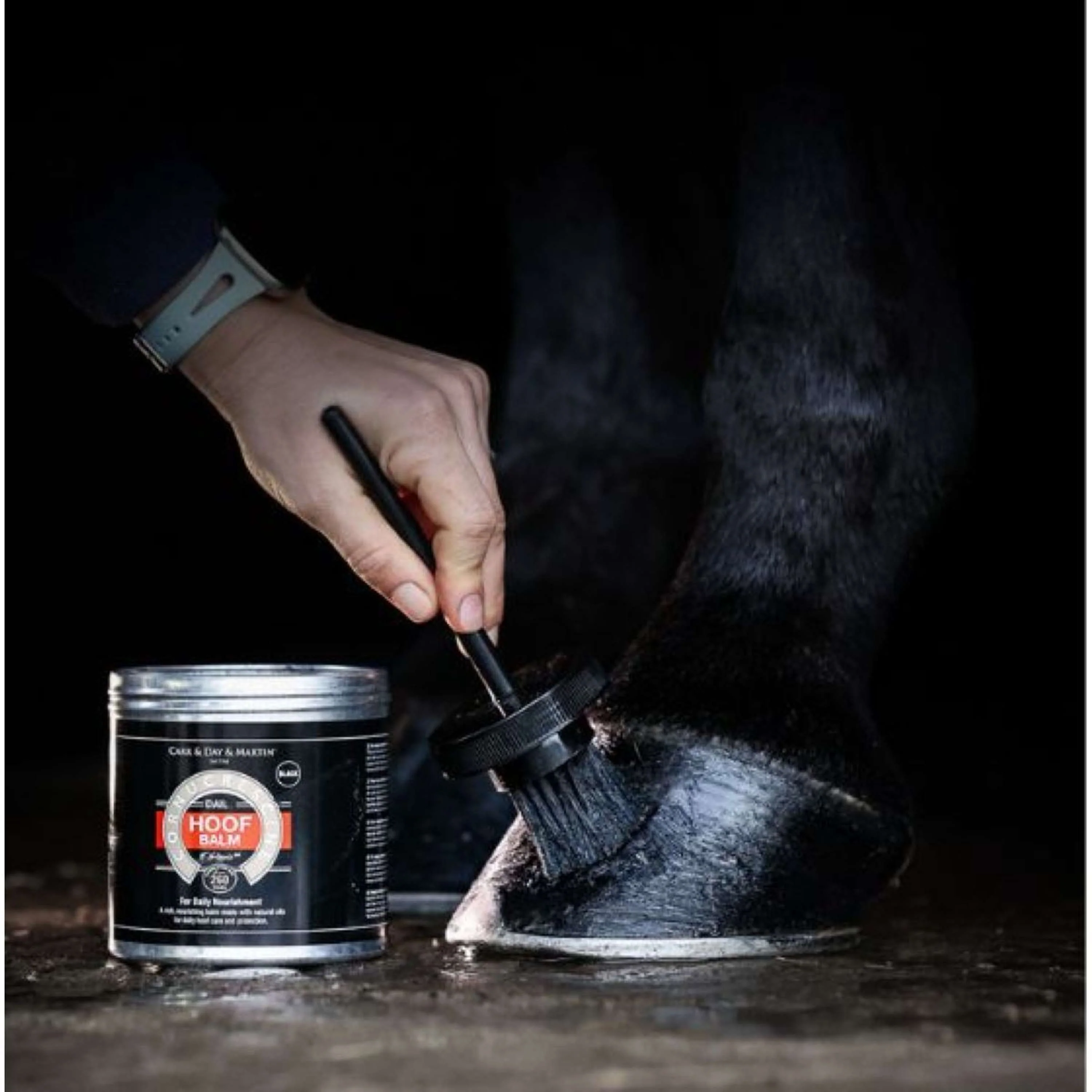 Carr & Day & Martin Cornucrescine Hoof Balm - Image 2