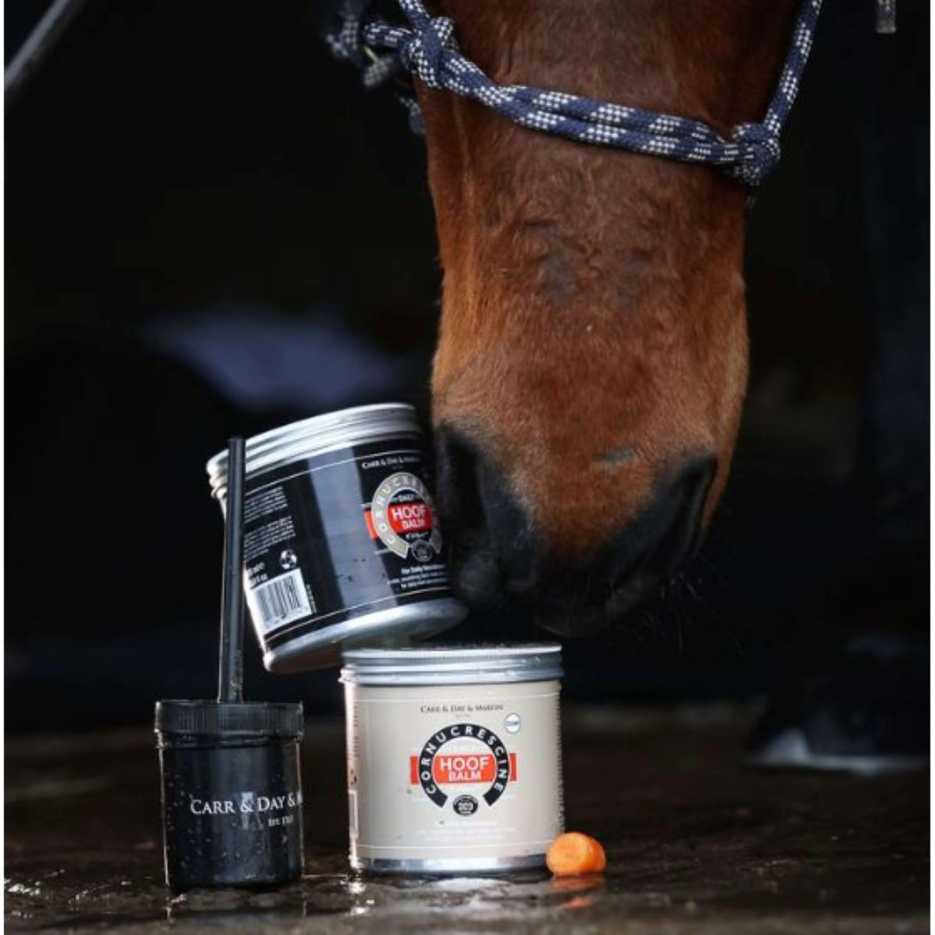 Carr & Day & Martin Cornucrescine Hoof Balm - Image 3