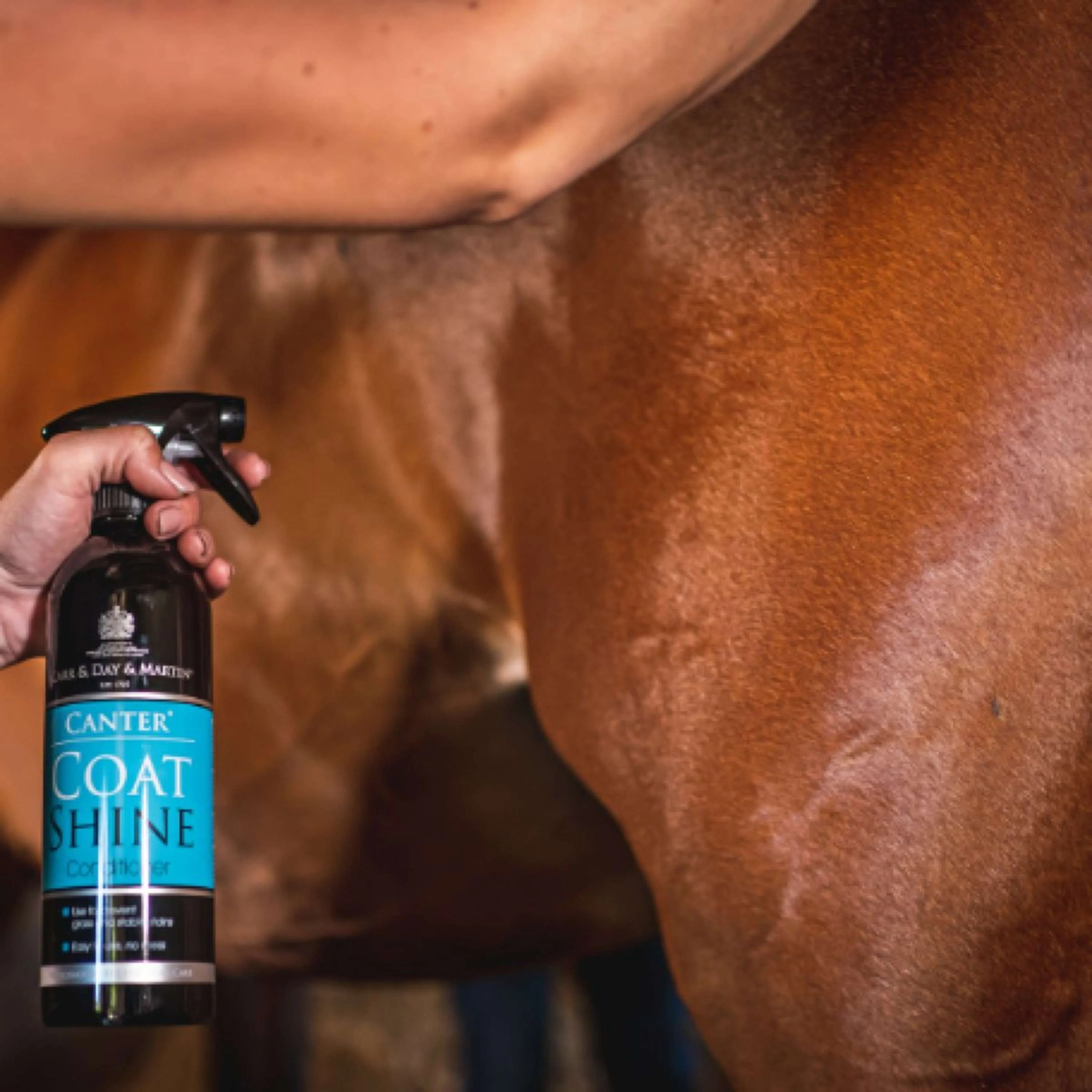 Carr & Day & Martin Spray Lustrant Canter Coat Shine - Image 7