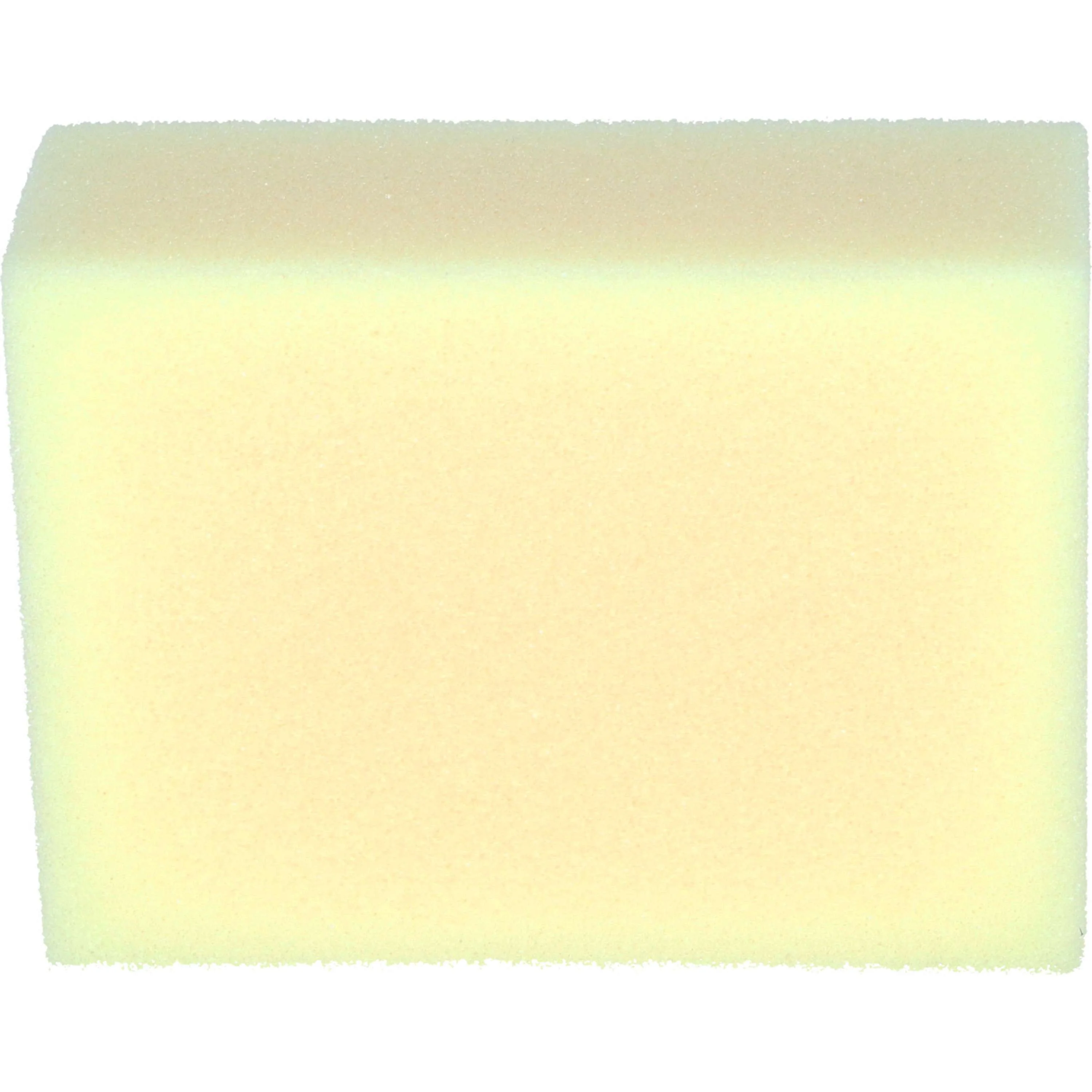 Carr & Day & Martin Tack Cleaning Sponge - Image 3