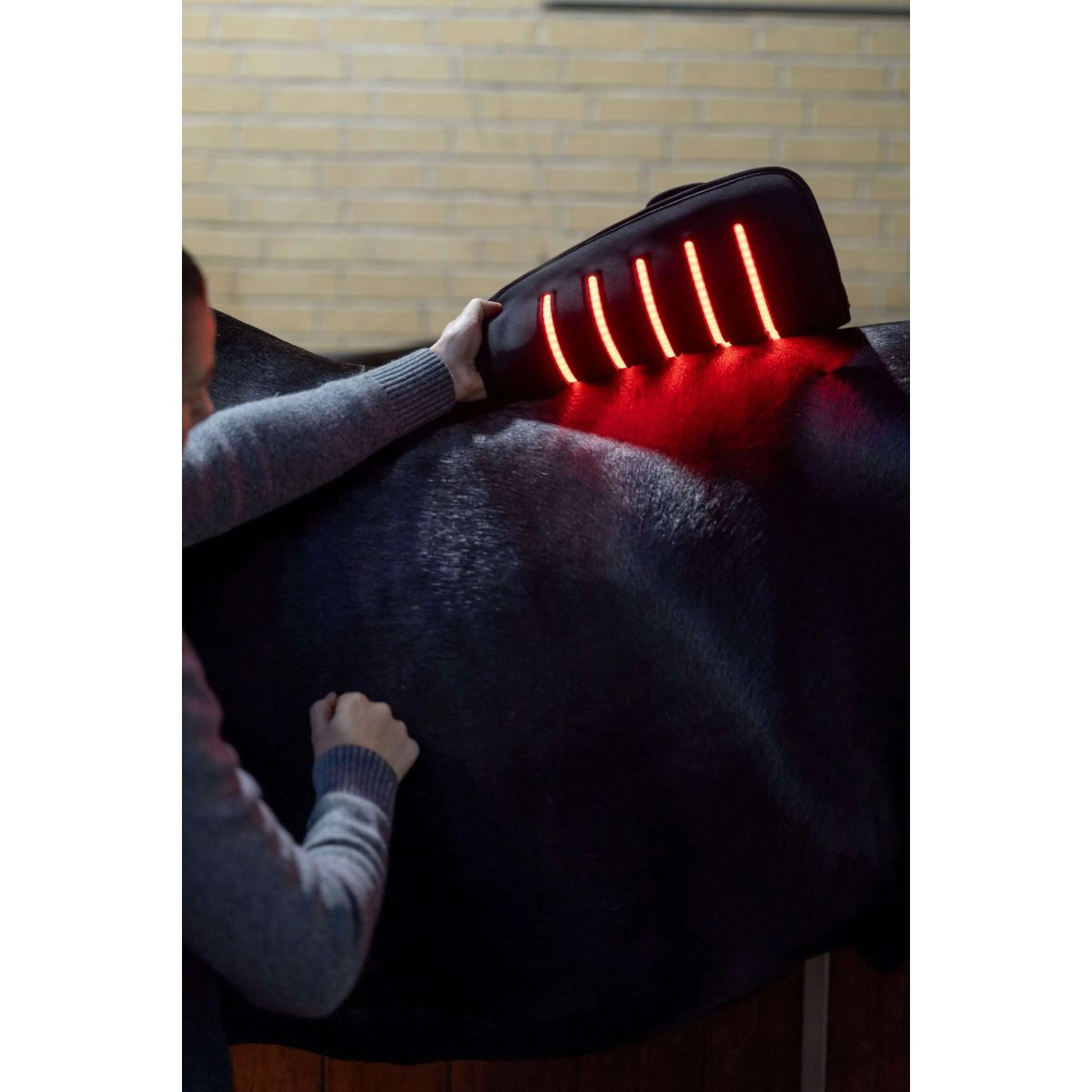 Catago Coussin de thérapie LED Fir-Tech Q27 - Image 9