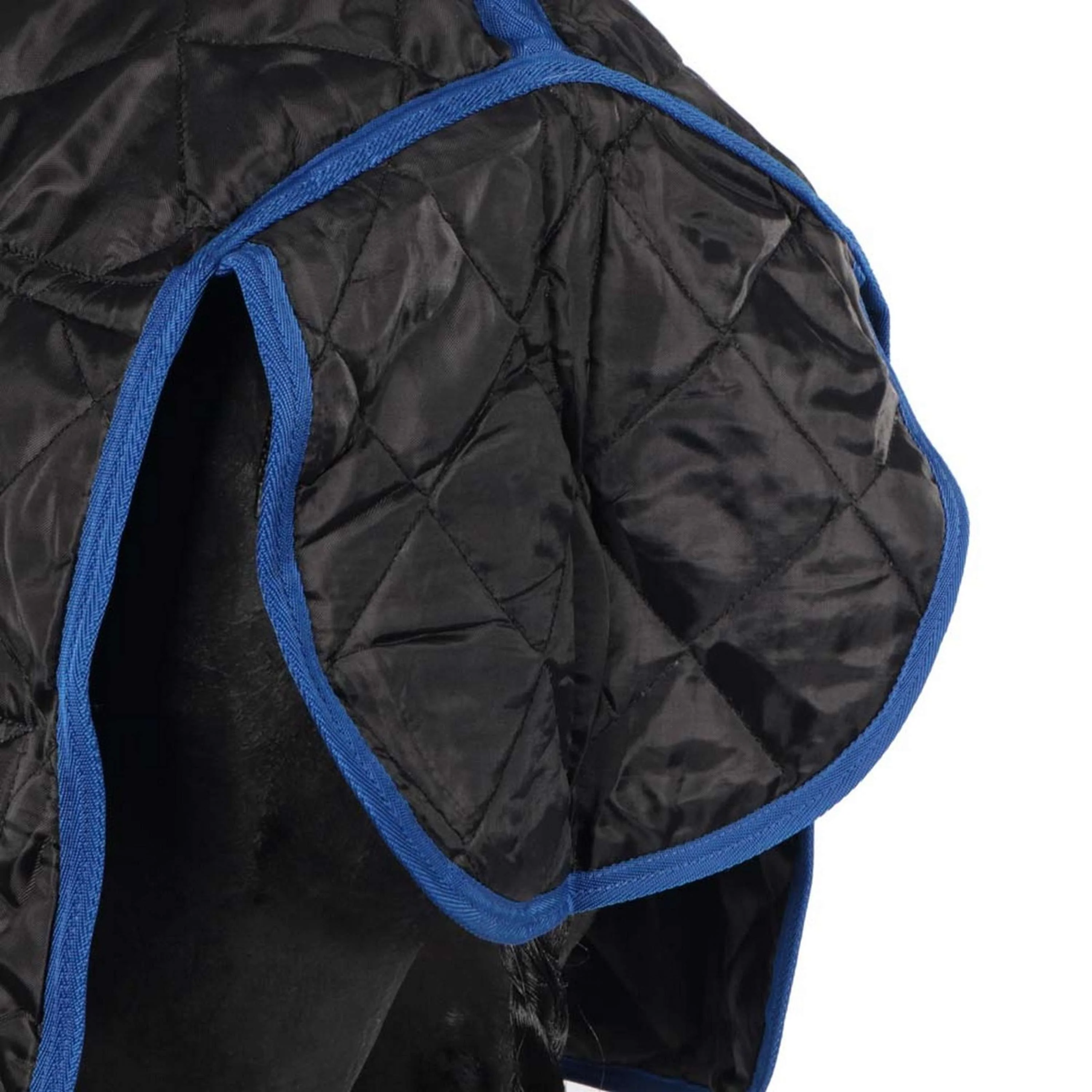 Catago Couverture d'Écurie 300g Noir/Bleu - Image 8