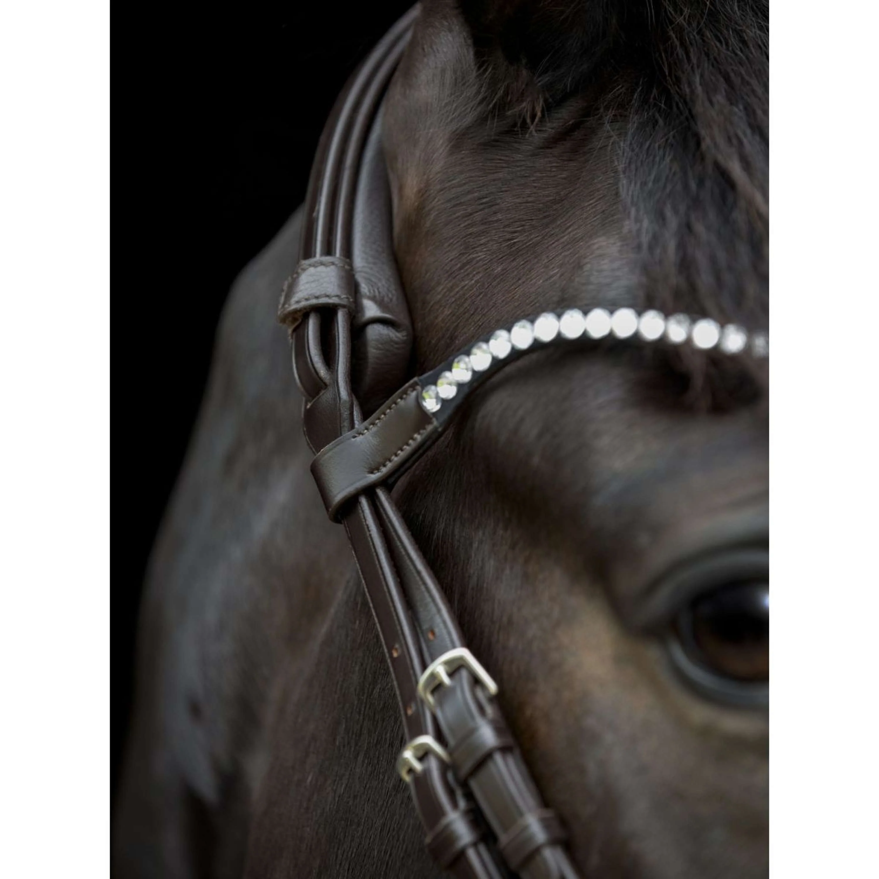 Catago Frontal Gentle Marron - Image 3