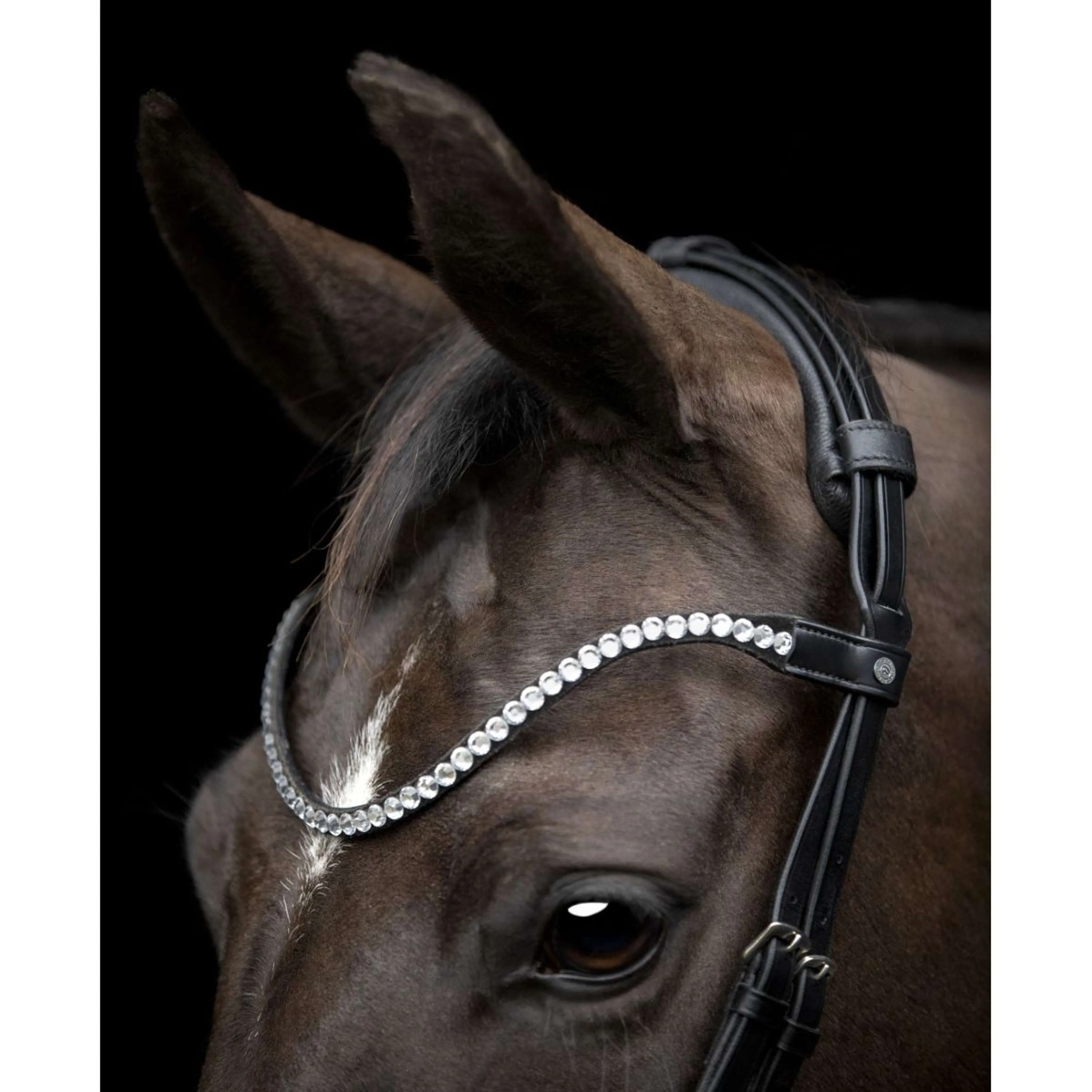 Catago Frontal Gentle Noir - Image 2
