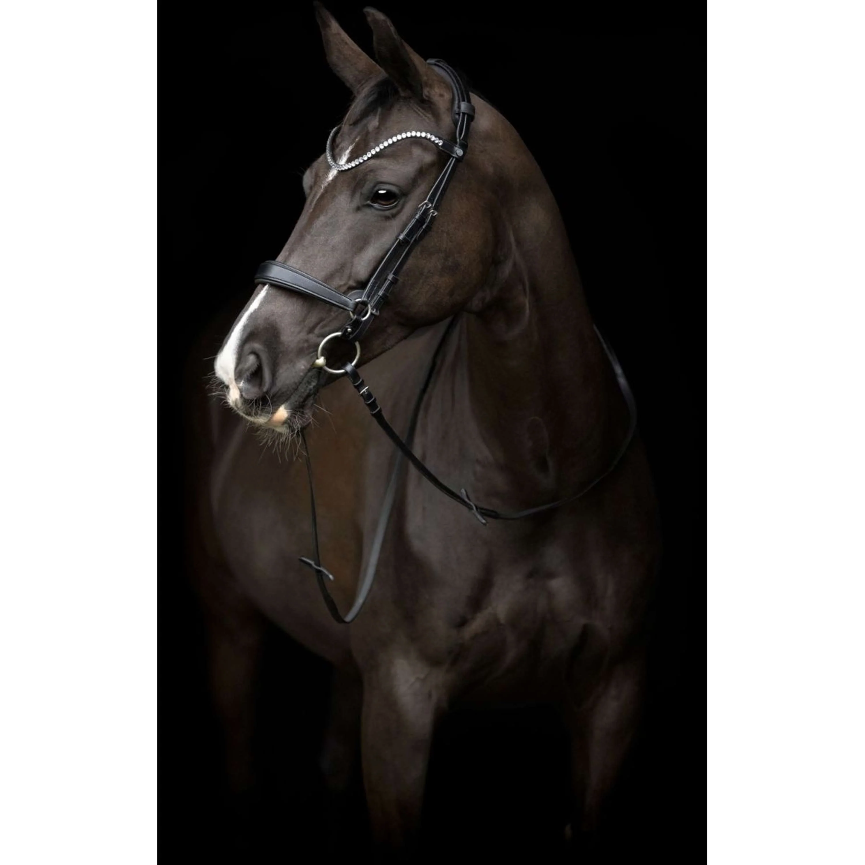 Catago Montants Gentle Marron - Image 3