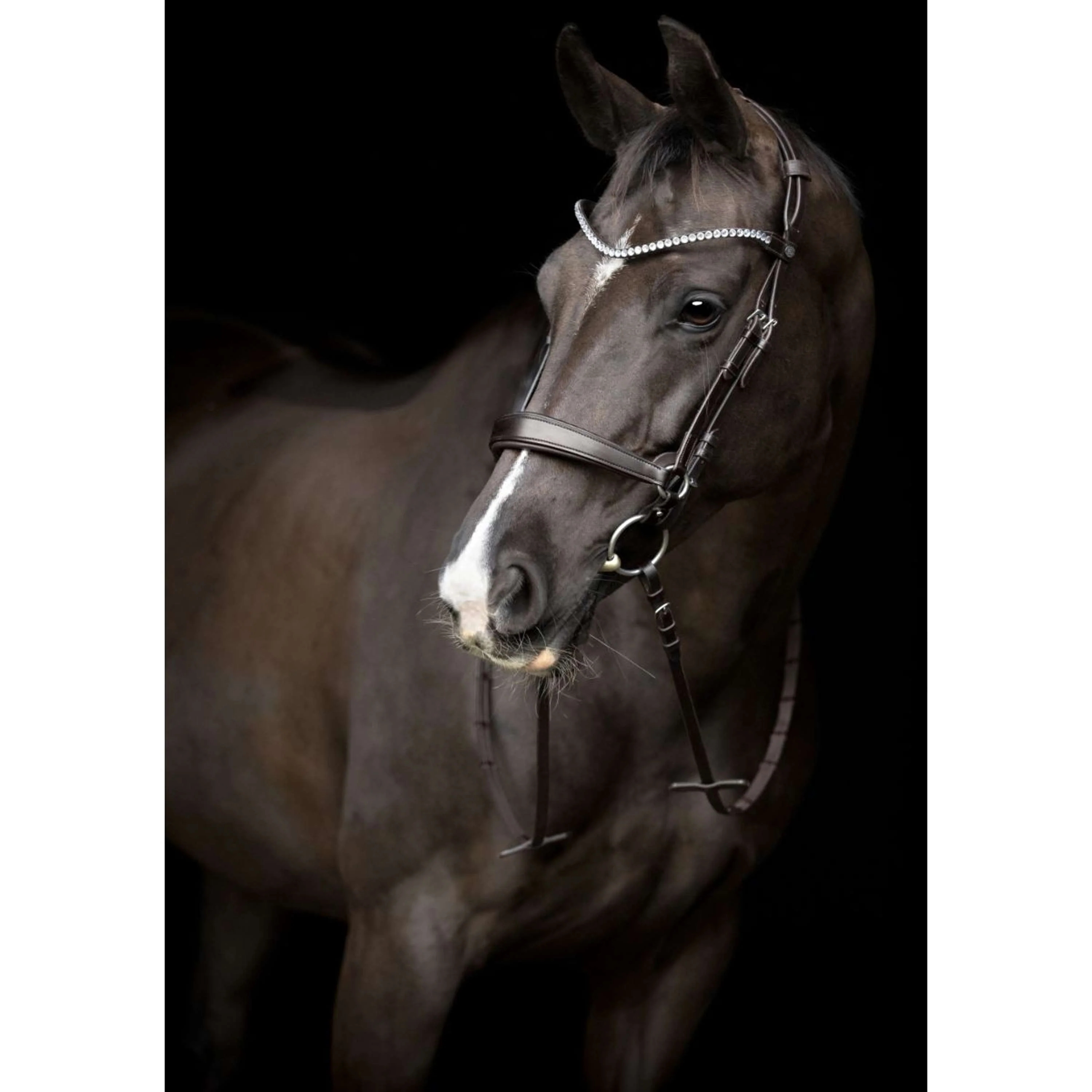 Catago Montants Gentle Marron - Image 4