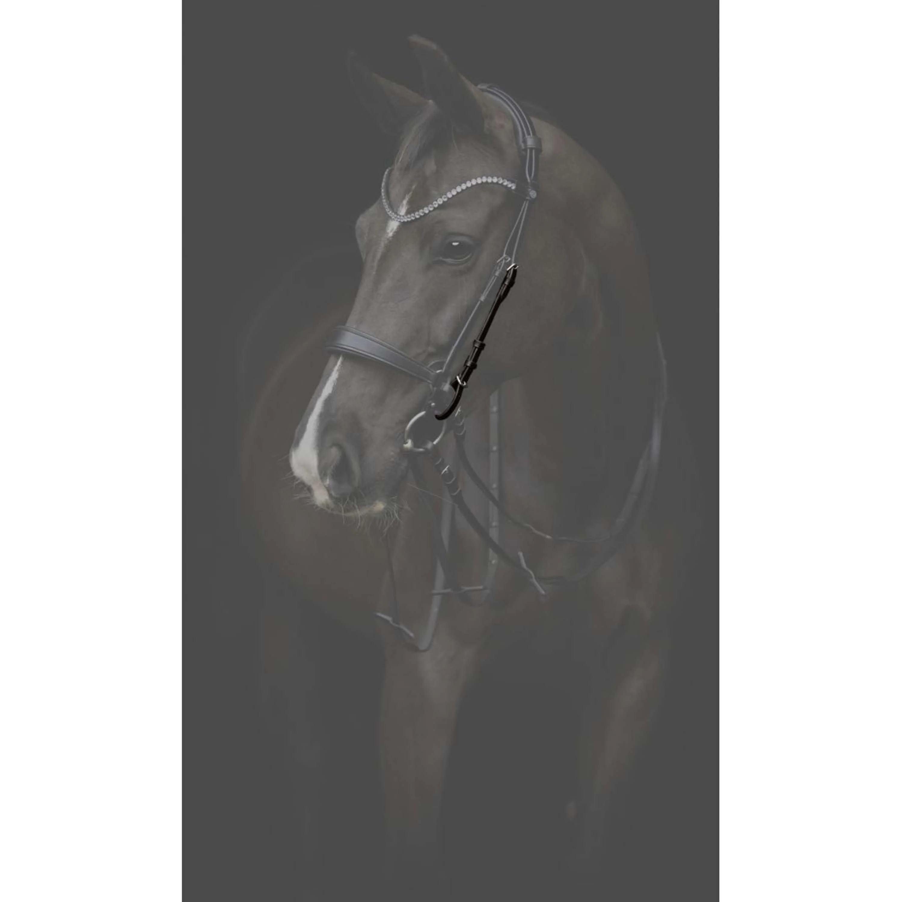 Catago Montants Gentle Noir - Image 2