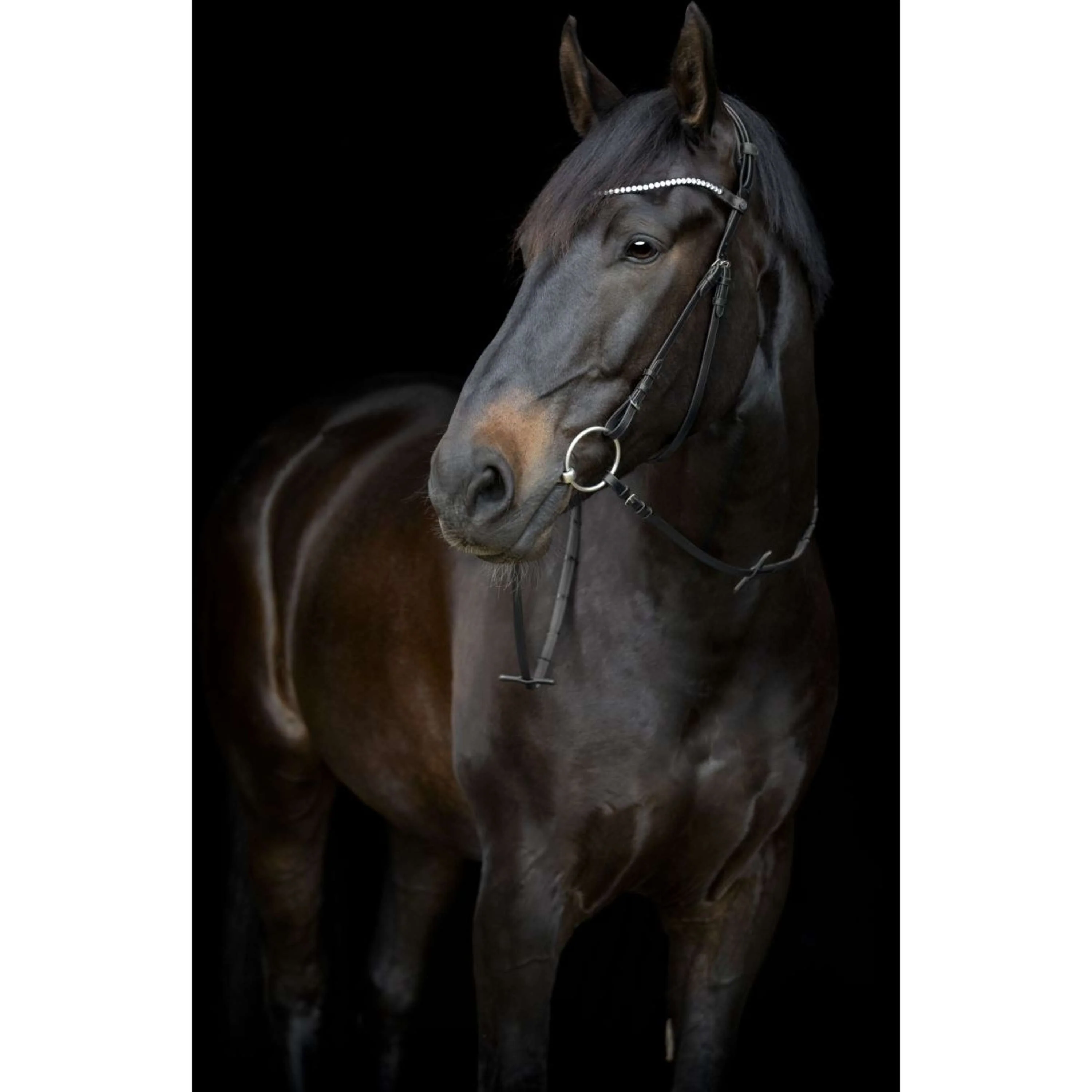 Catago Montants Gentle Noir - Image 3