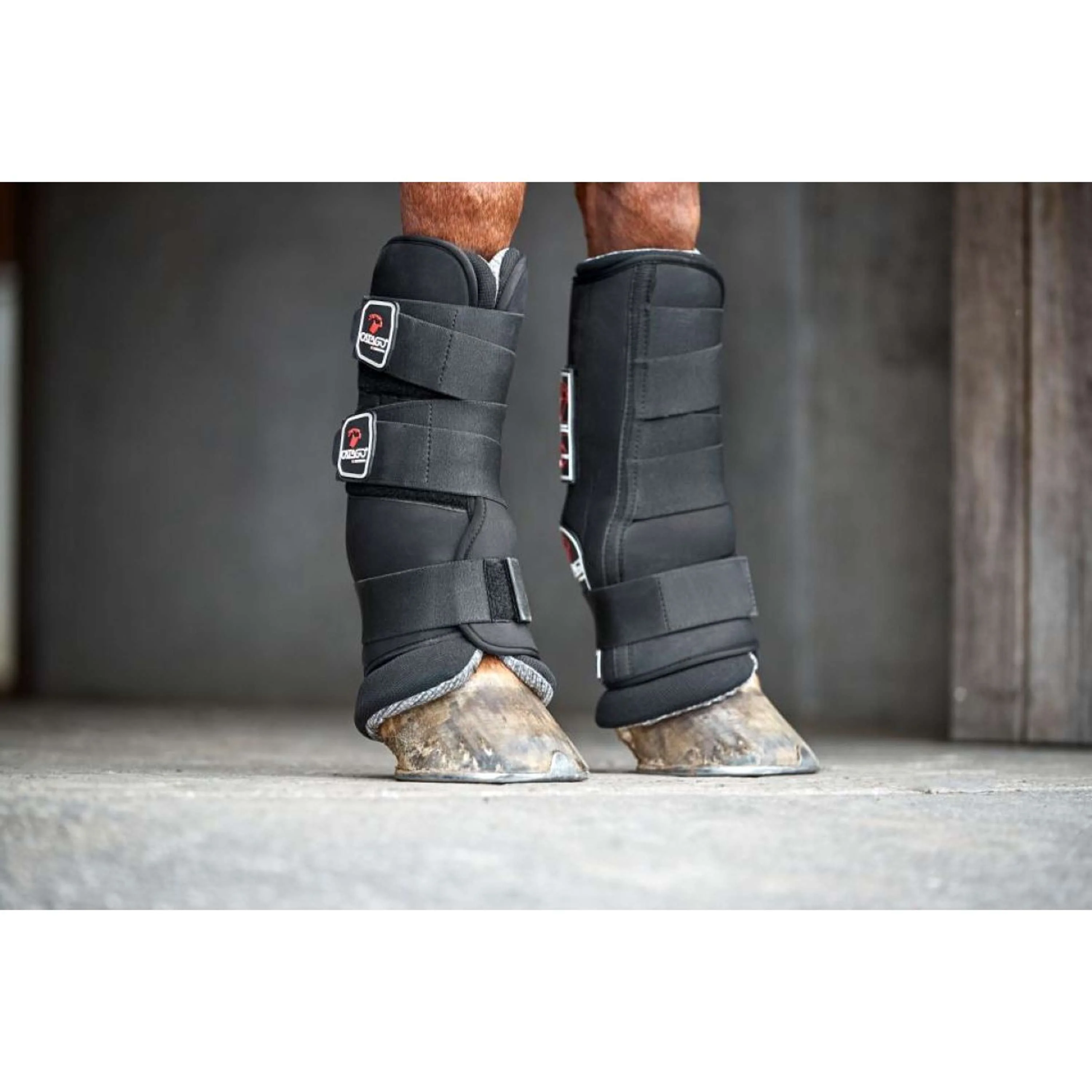Catago Neoprene Shell for Stable Boot Noir - Image 2