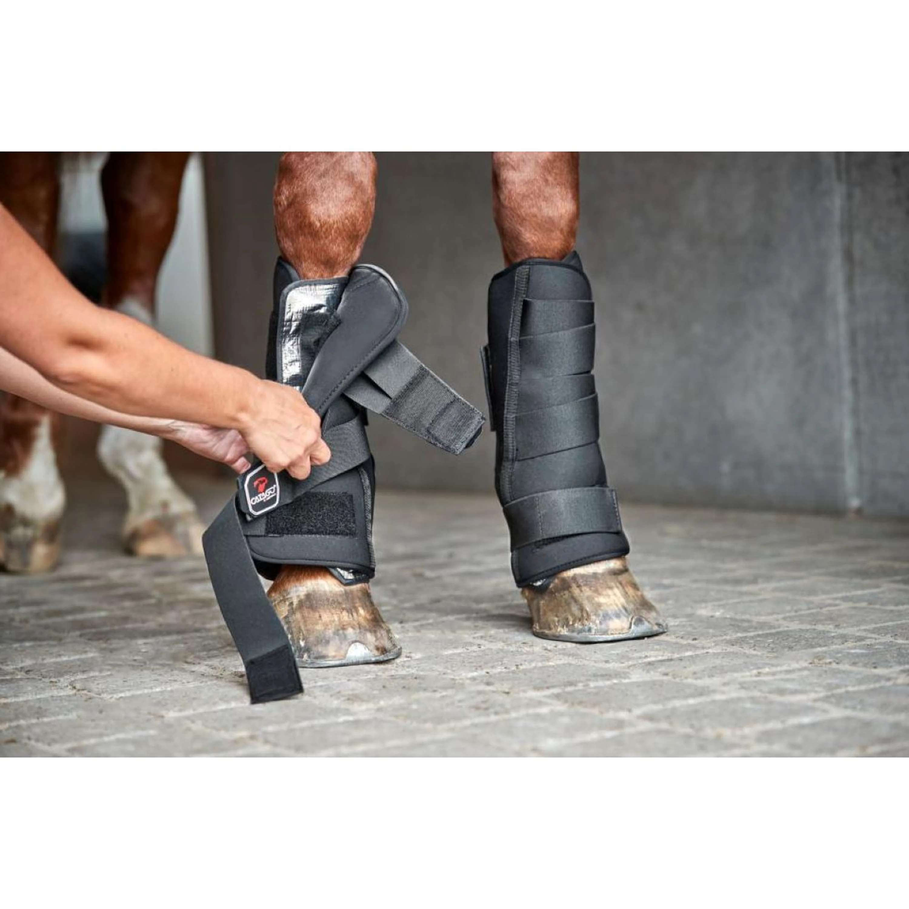 Catago Neoprene Shell for Stable Boot Noir - Image 4
