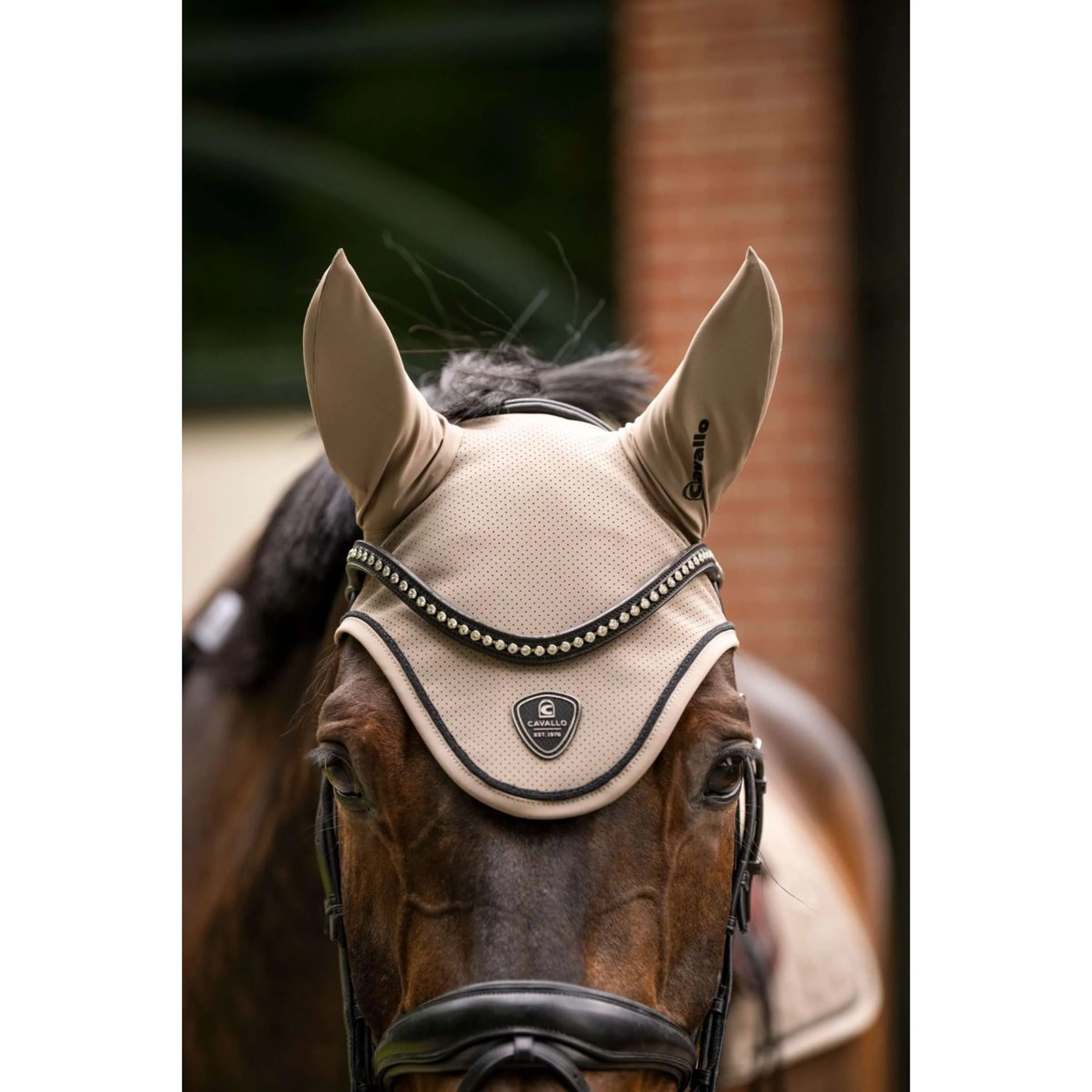 Cavallo Bonnet Anti-Mouches CavalJackie Mocha Latte - Image 2