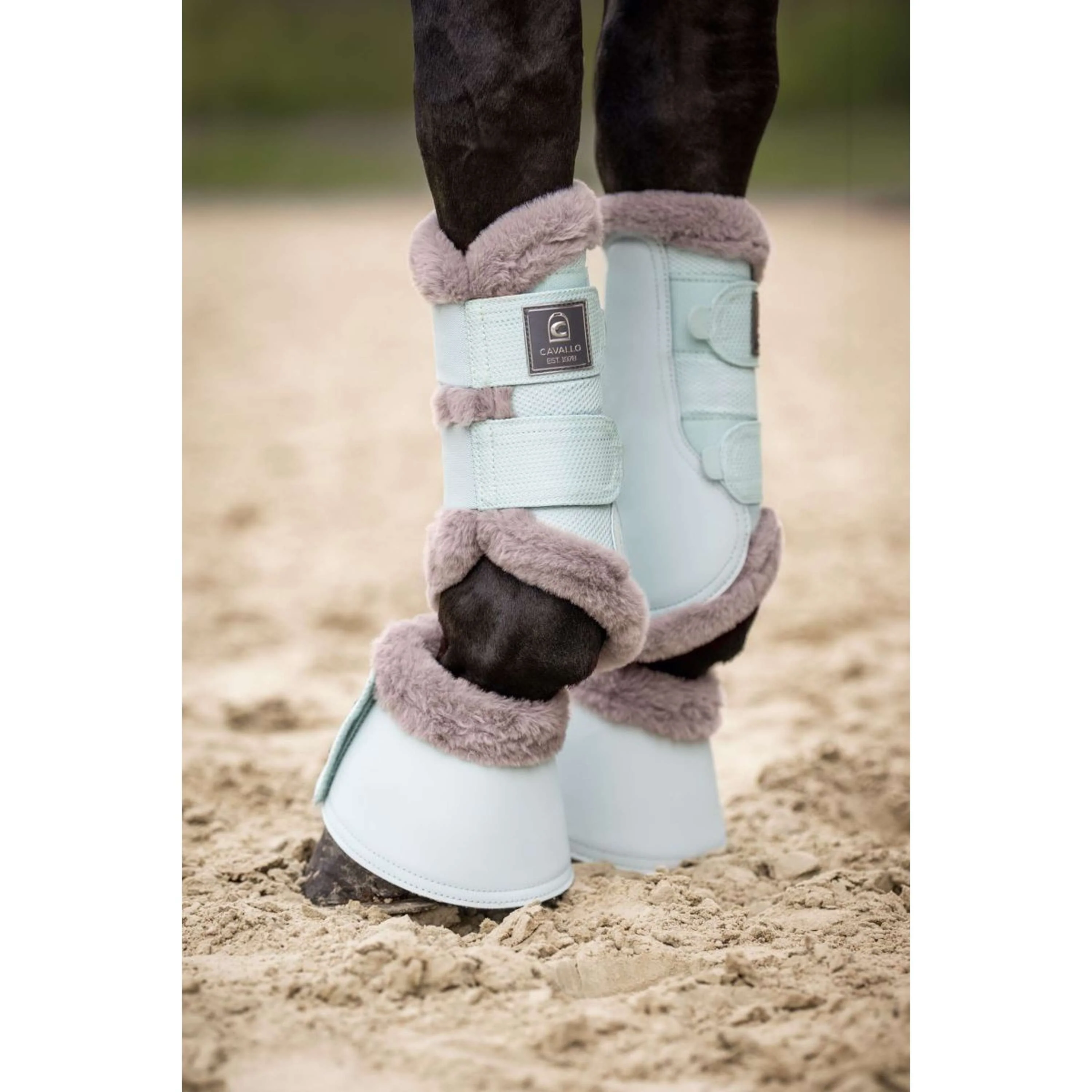 Cavallo Dressage Boots CavalJoca Crystal Blue - Image 2