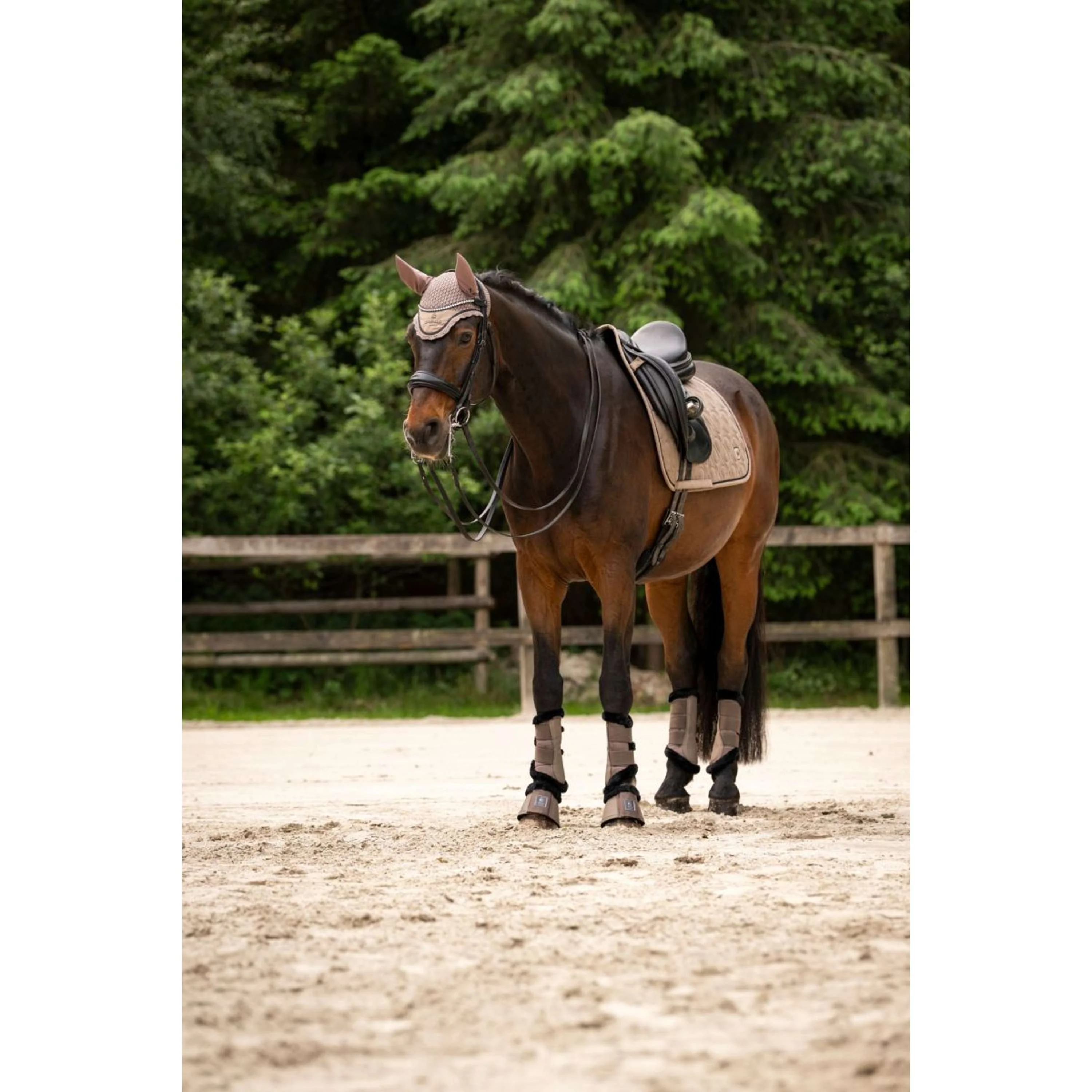 Cavallo Dressage Boots CavalJoca Mocha Latte - Image 2