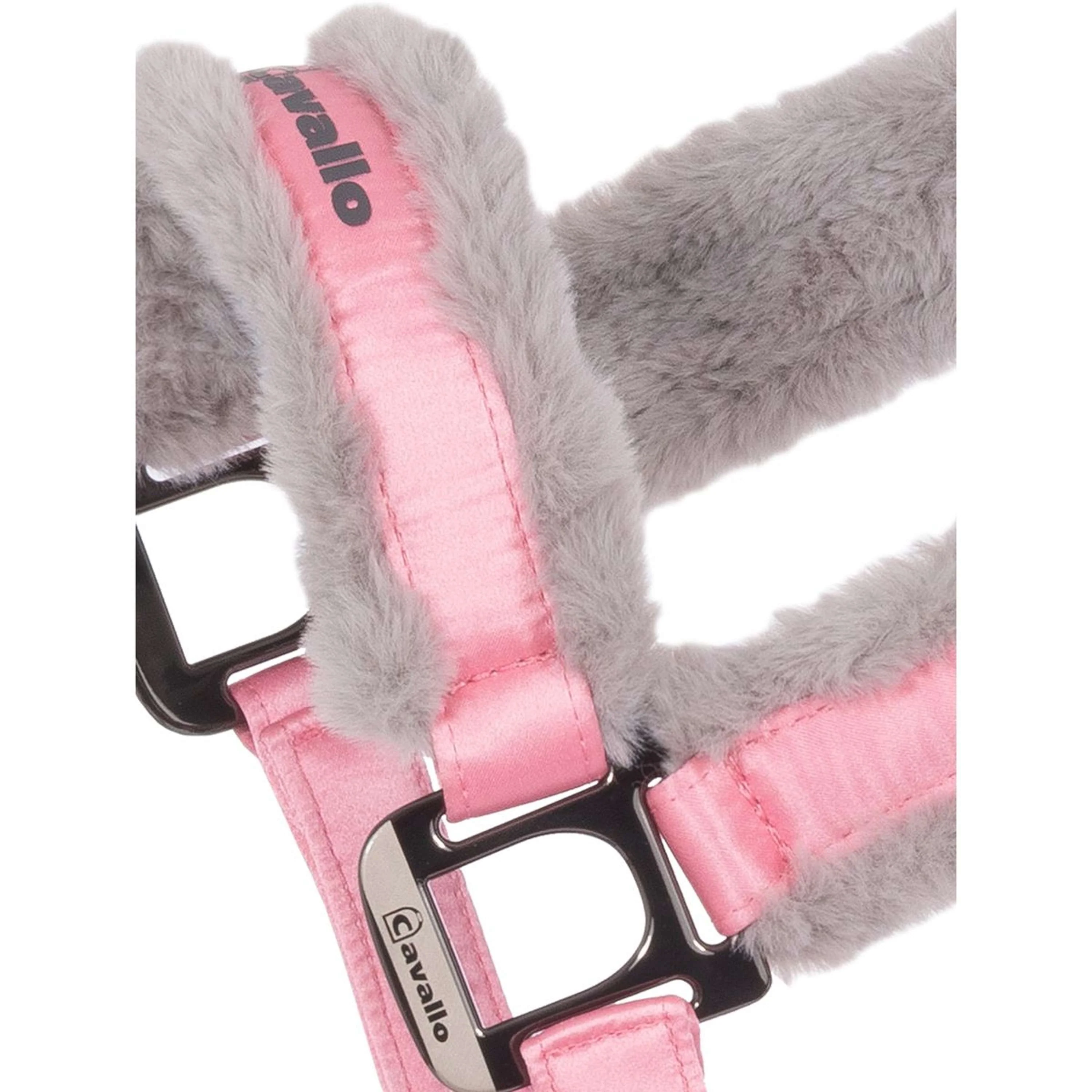 Cavallo Licol CavalJero Powder Pink - Image 2