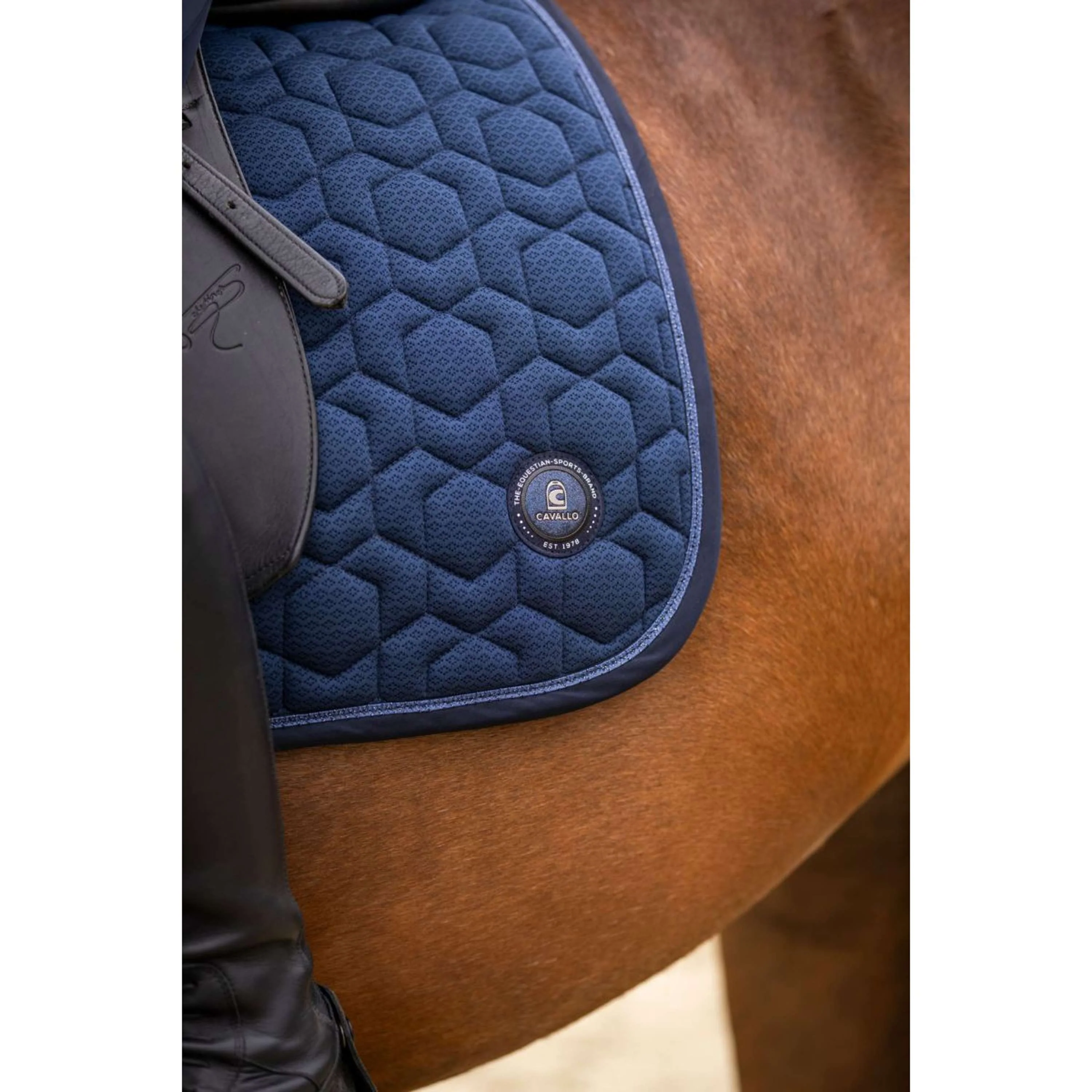 Cavallo Tapis de Selle CavalPolina Polyvalent Bleu foncé - Image 2