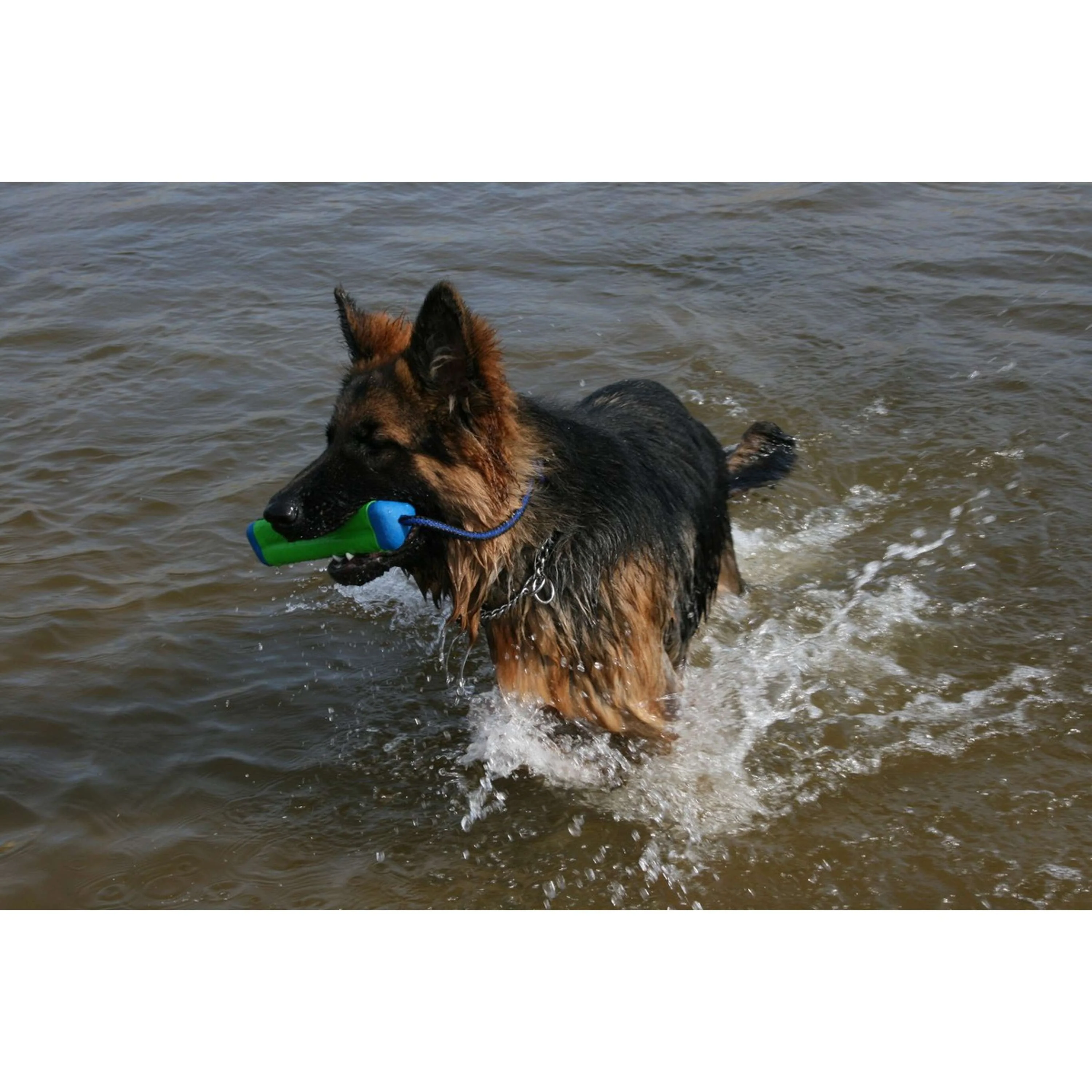 Chuckit Jouet à Lancer Amphibious Bumper - Image 3