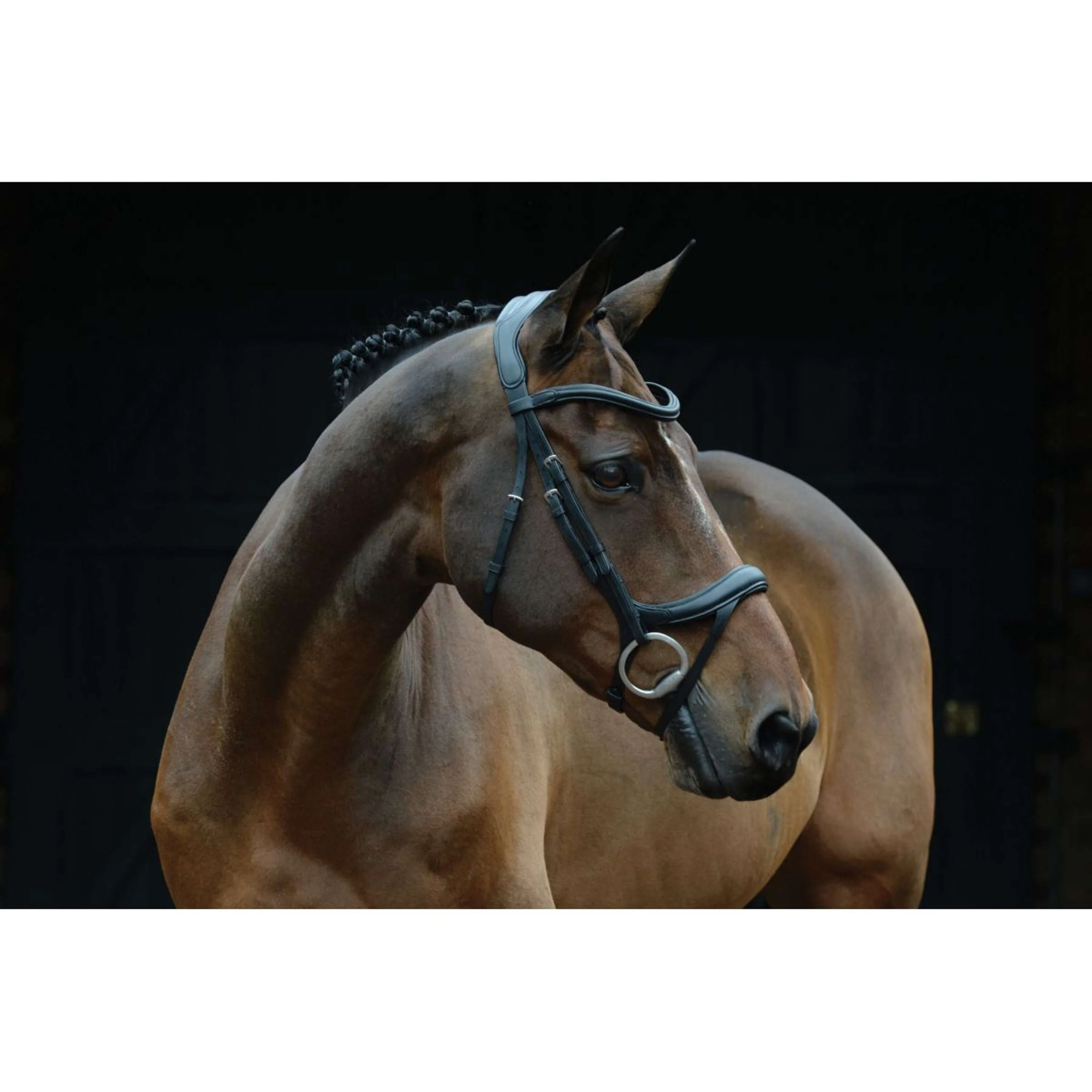 Collegiate Bridon ComFiTec Vogue Anatomique Noir - Image 2