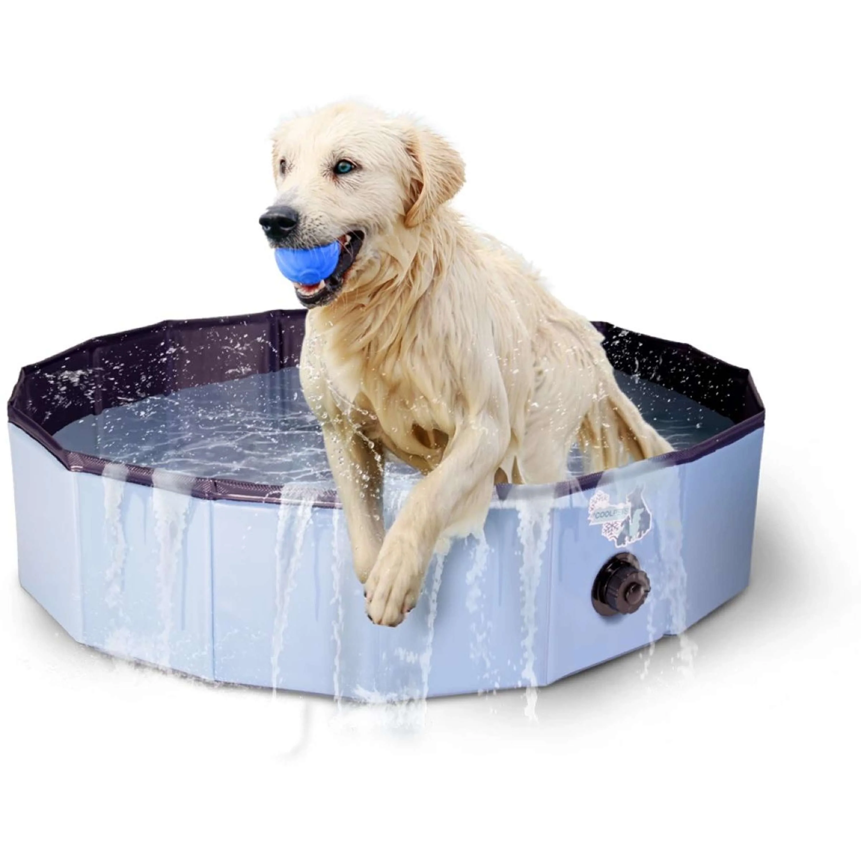 Coolpets Piscine - Image 2