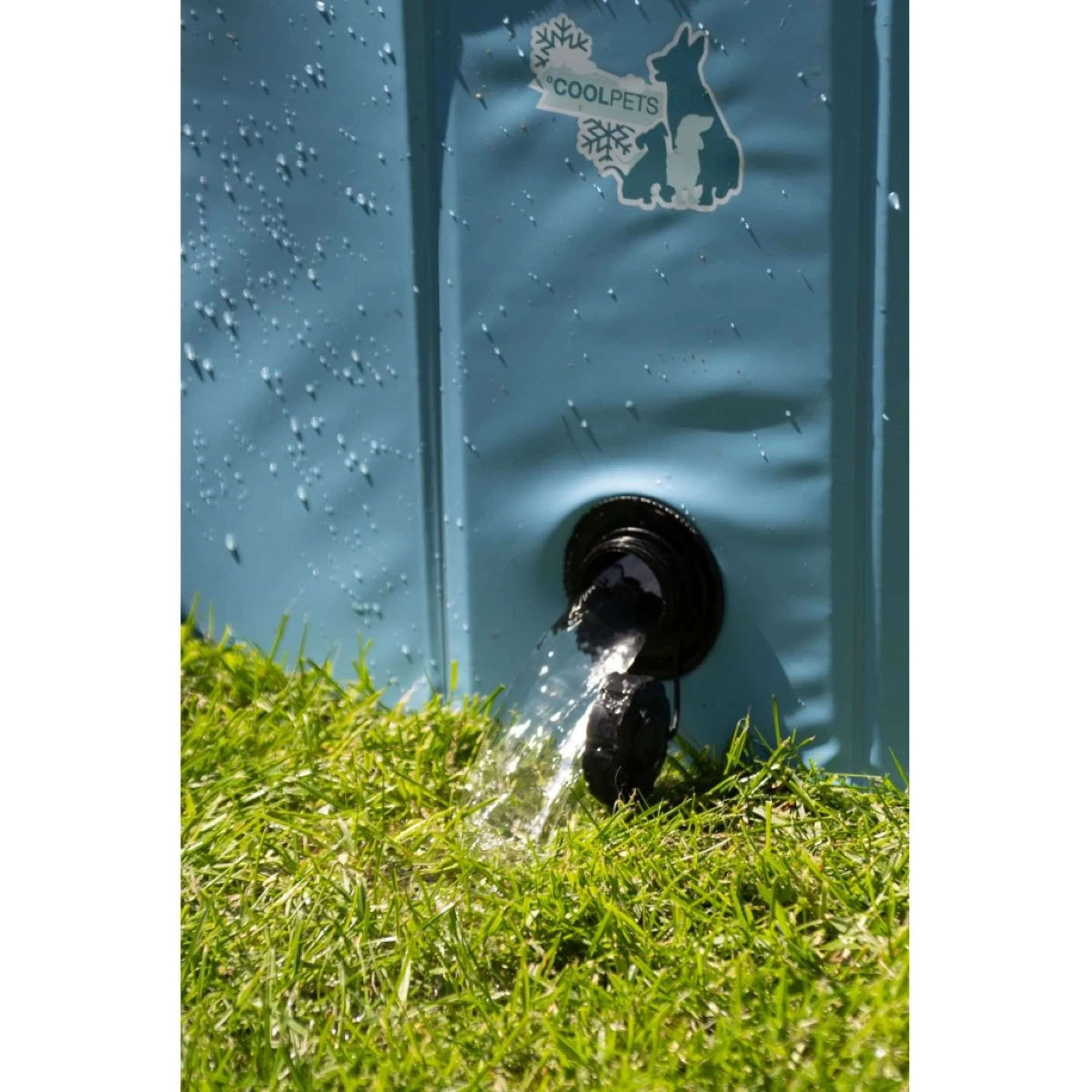 Coolpets Piscine - Image 5