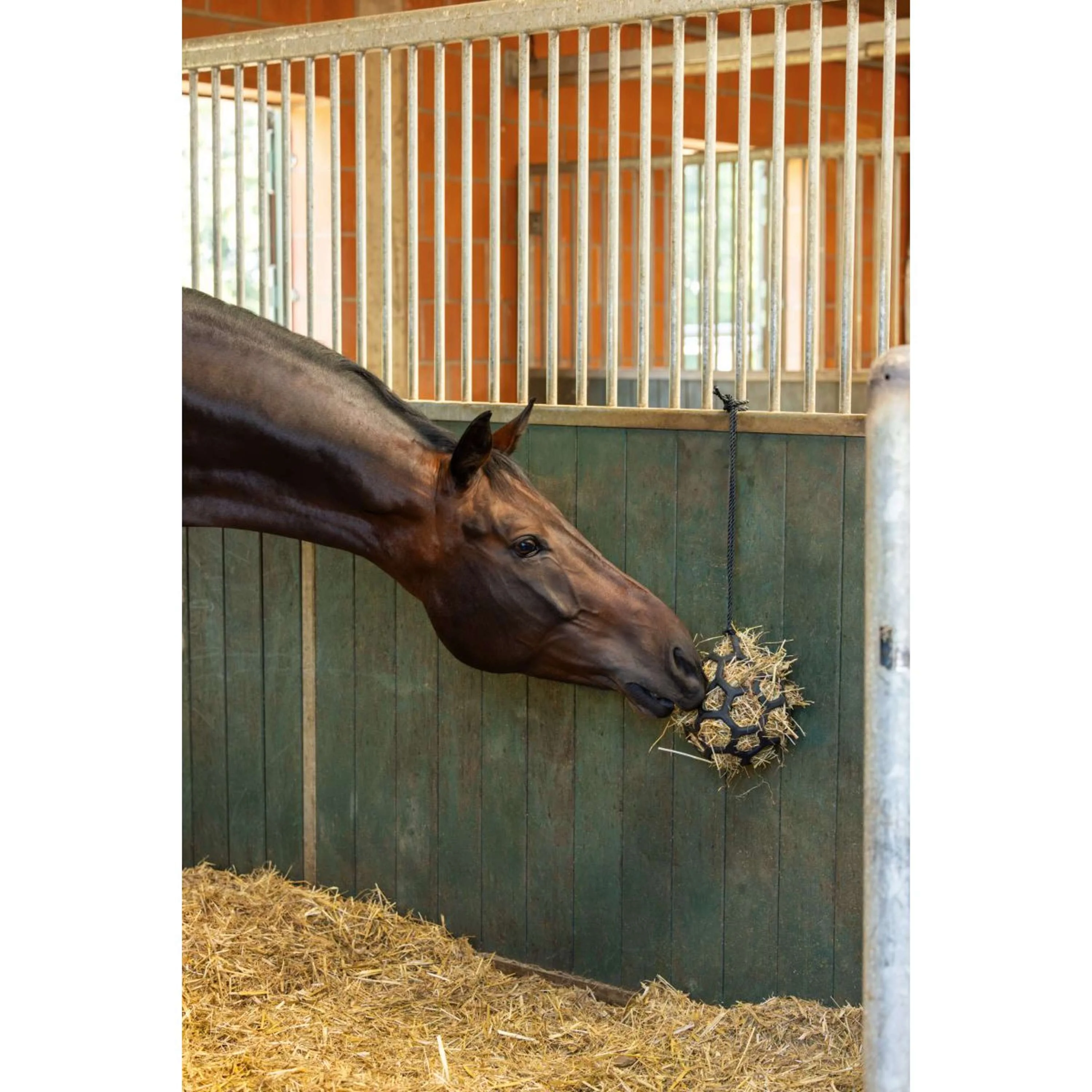 Covalliero Balle de Foin Flex Petit Noir - Image 3
