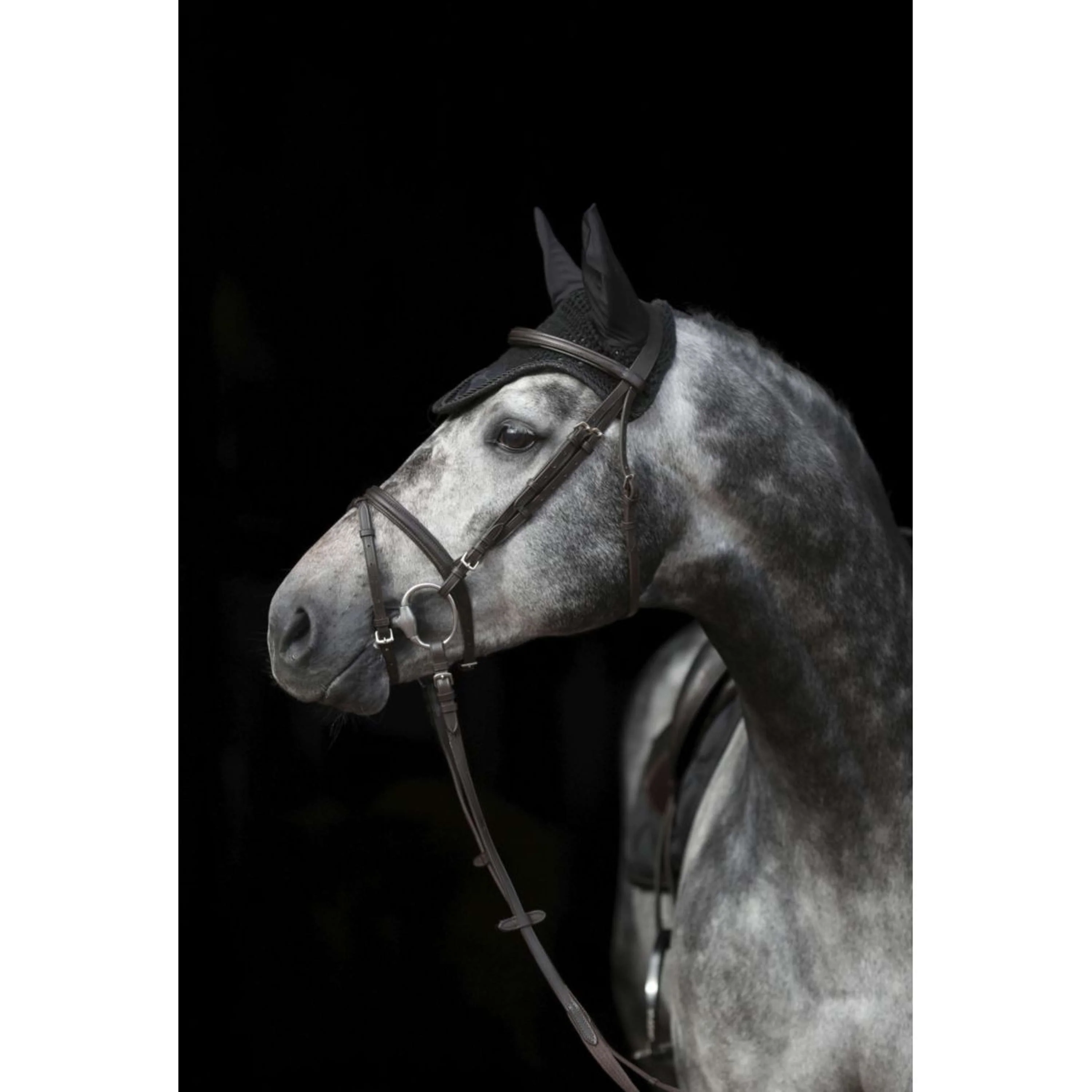 Covalliero Bonnet Anti-Mouches Empara Noir - Image 3