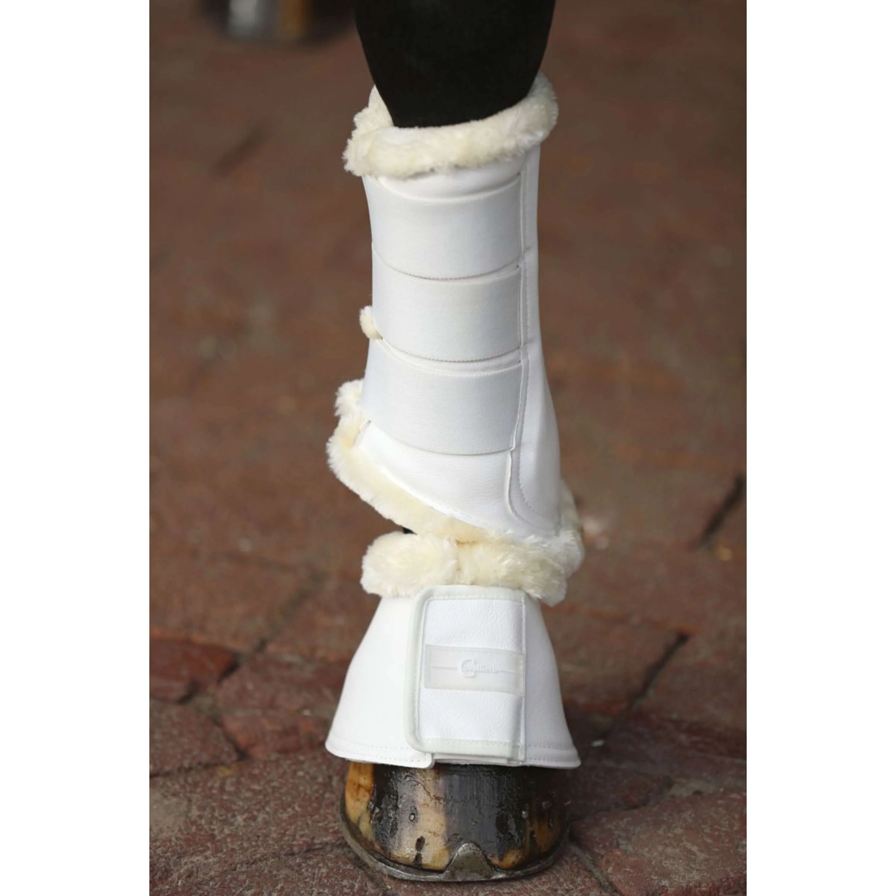 Covalliero Bottes de Dressage Pelisa Blanc - Image 2