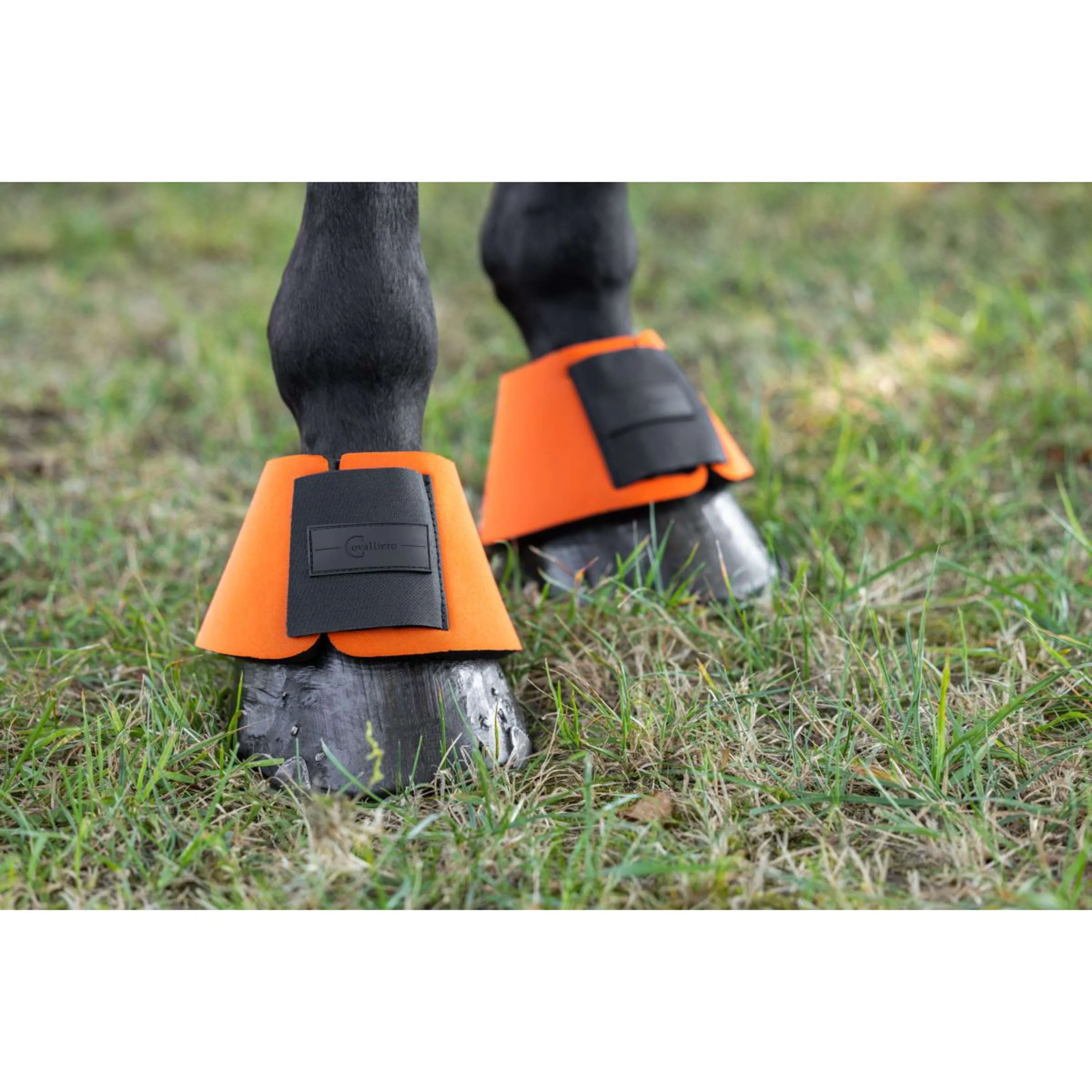 Covalliero Cloches d'Obstacles NeoLite Orange - Image 2