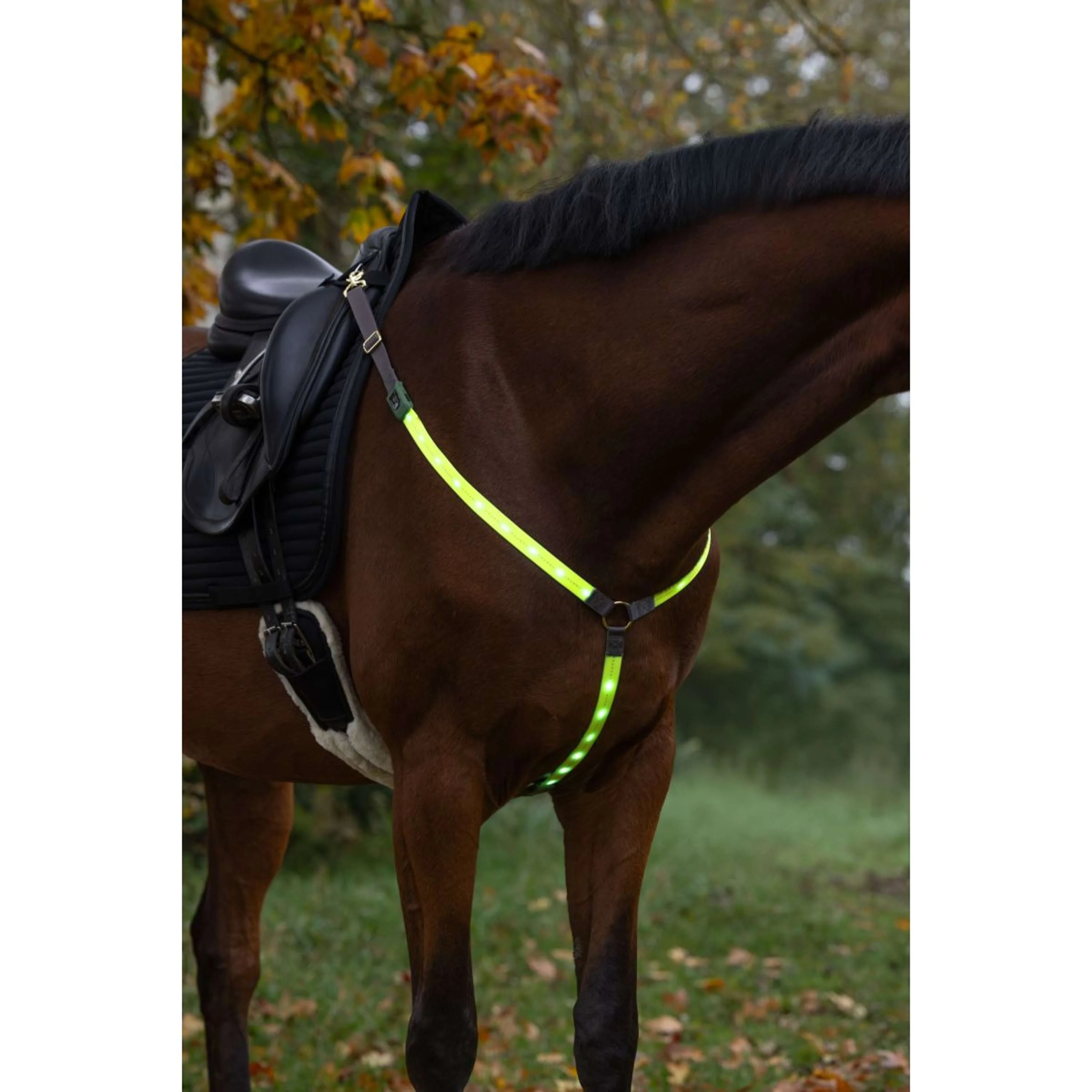 Covalliero Collier de Chasse Led Réflexion - Image 2