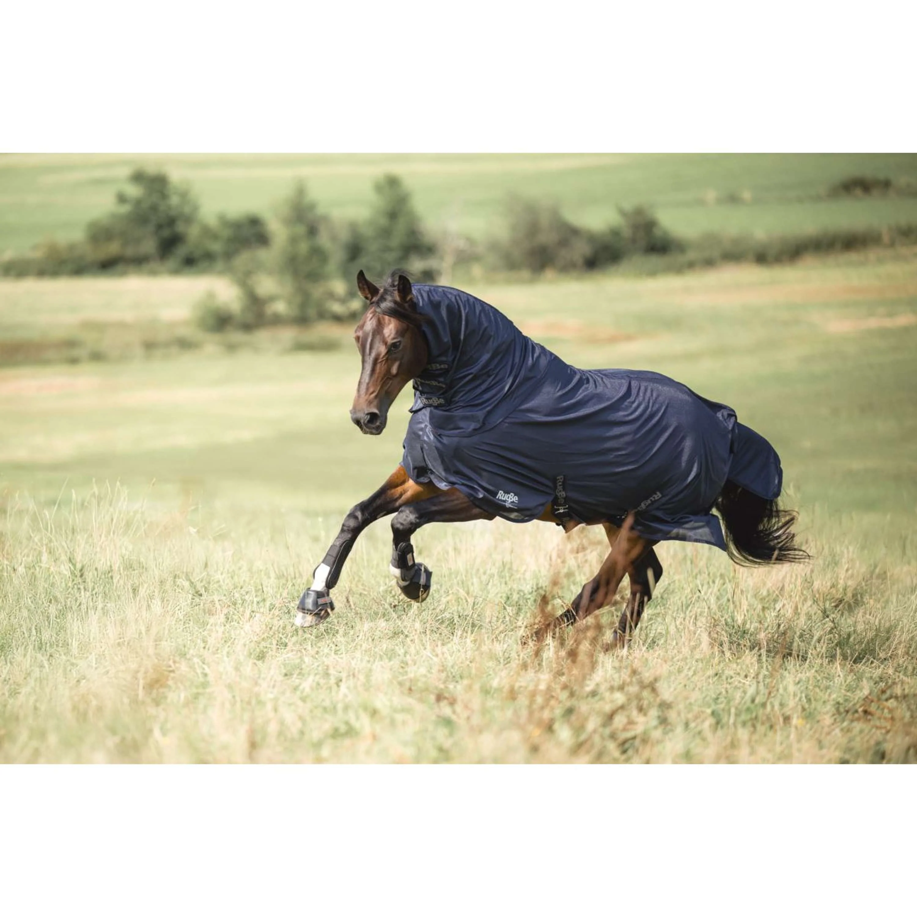 Covalliero Couverture Anti-Mouches RugBe SuperFly Marin - Image 5