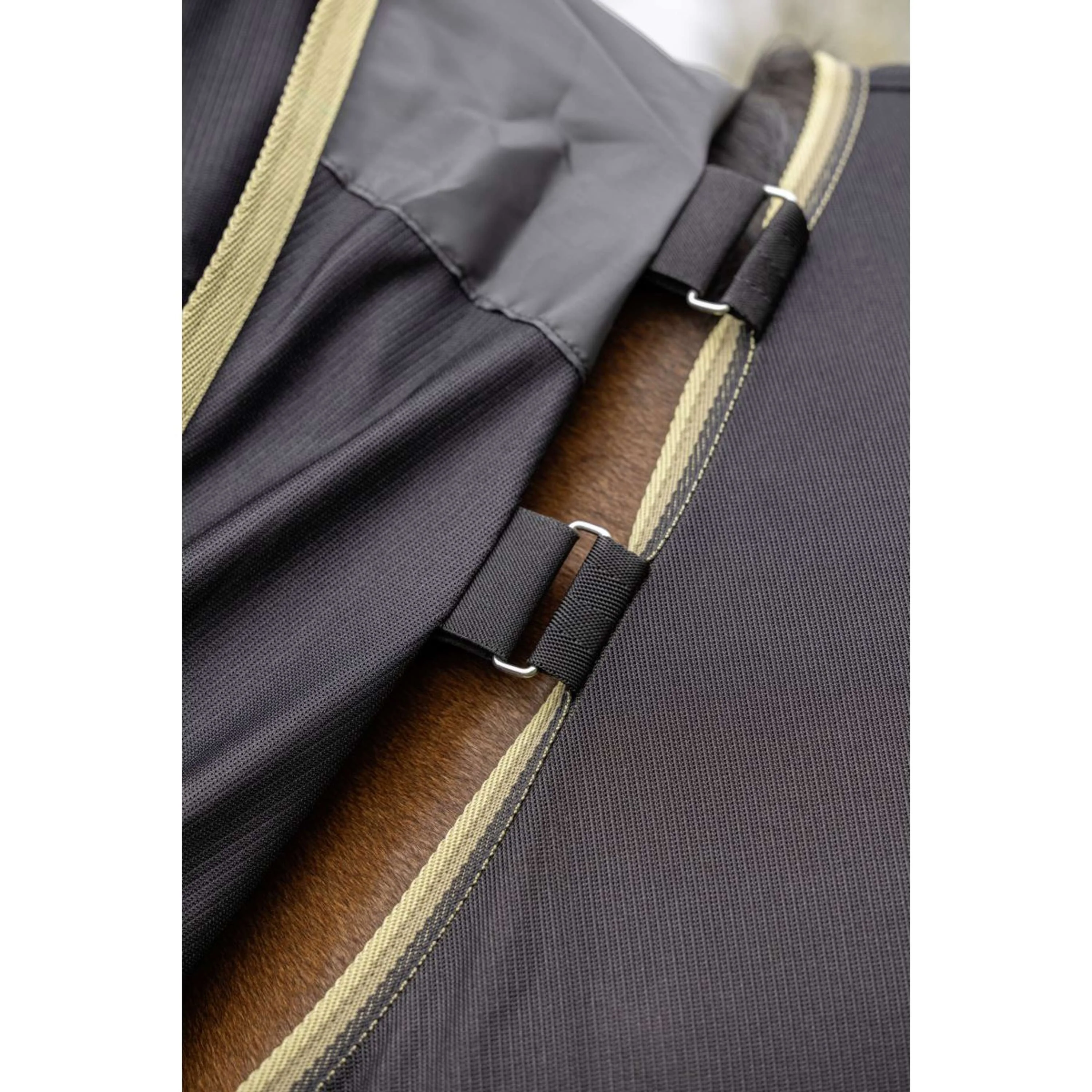 Covalliero Couverture Anti-Mouches SS26 Noir - Image 5