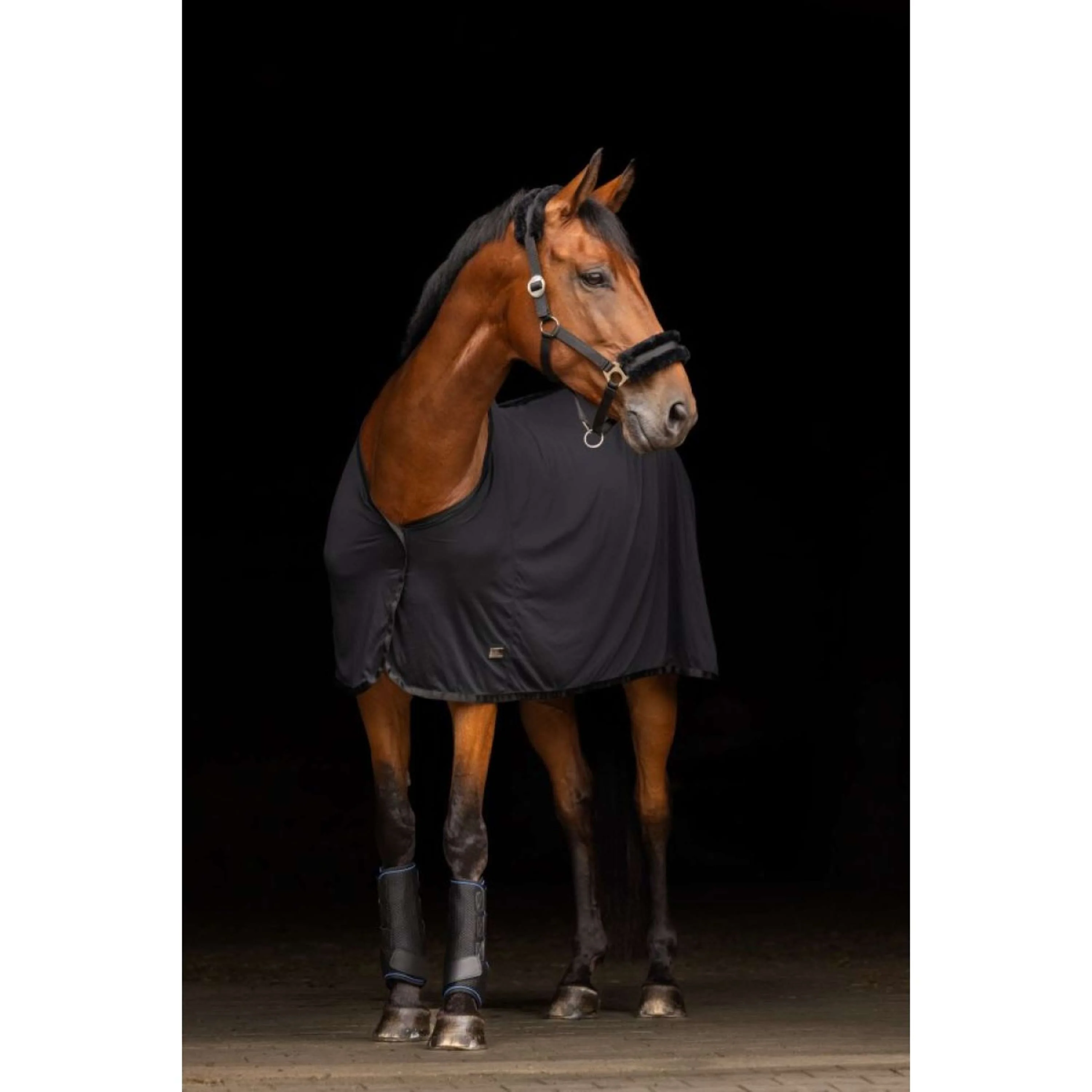 Covalliero Chemise Rafraîchissante Cooling Noir - Image 2